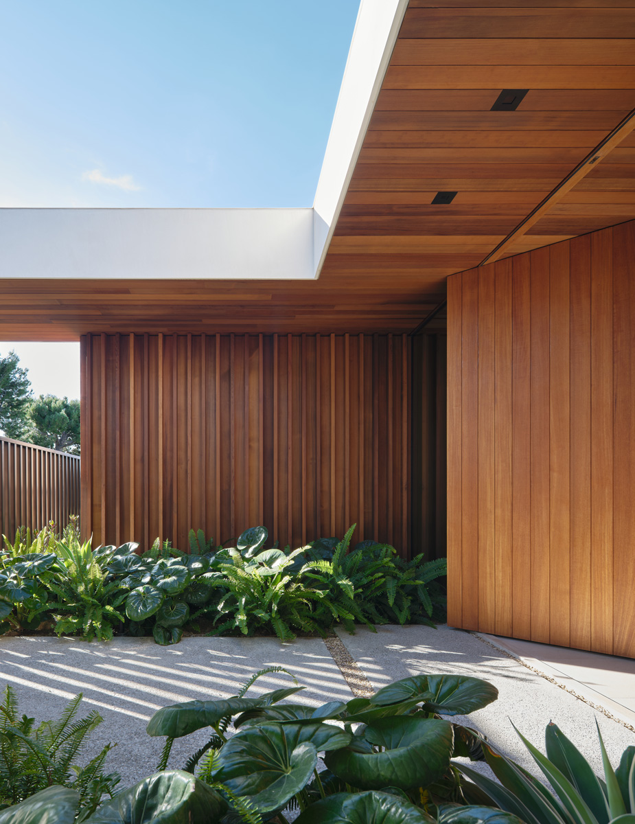 Montalba Architects — Montalba Architects