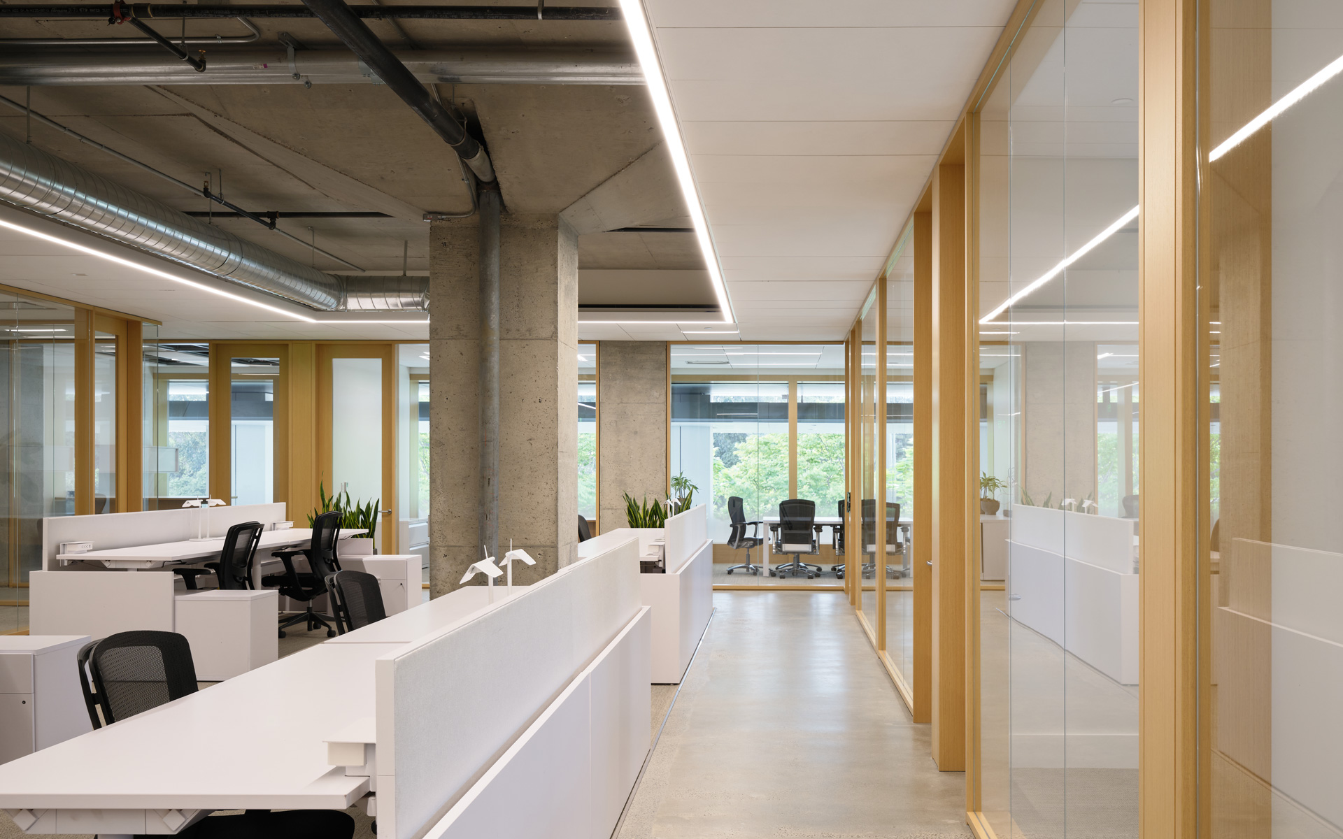 Montalba Architects — Montalba Architects