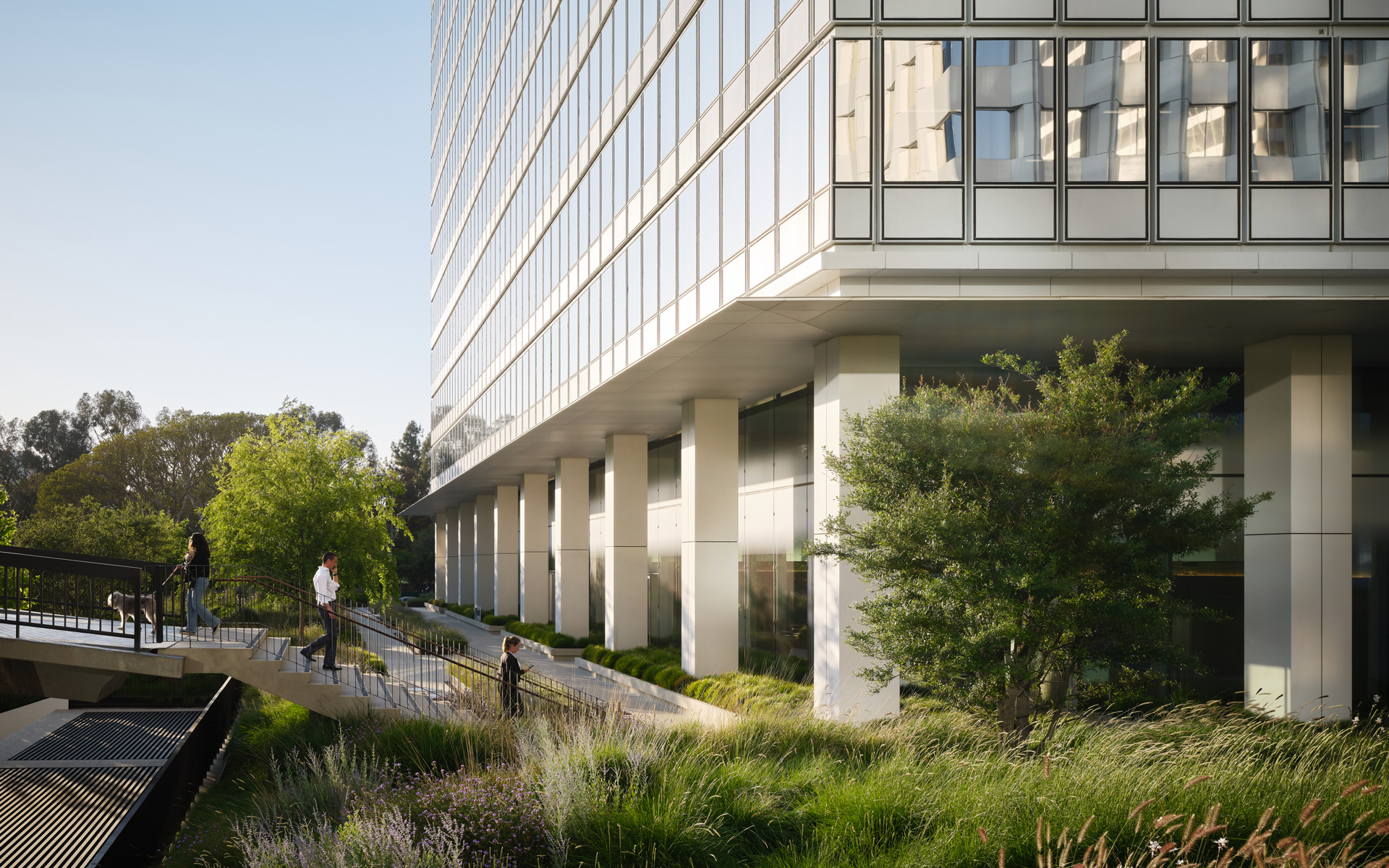 Montalba Architects — Montalba Architects