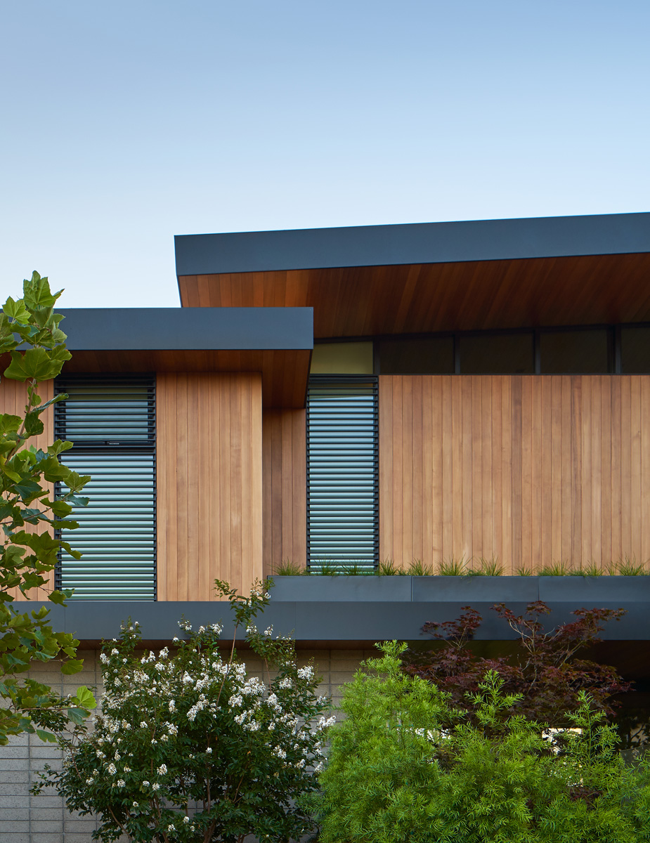 Montalba Architects — Montalba Architects