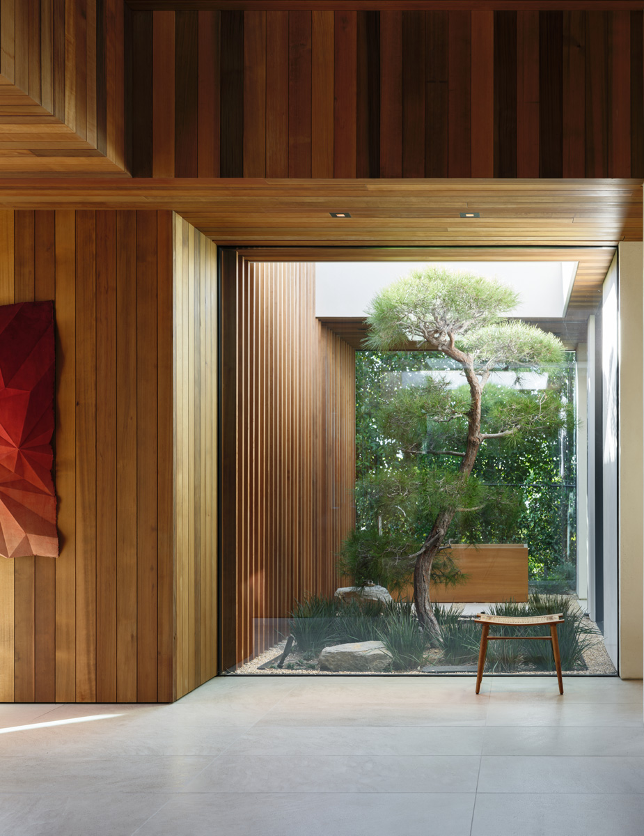 Montalba Architects — Montalba Architects