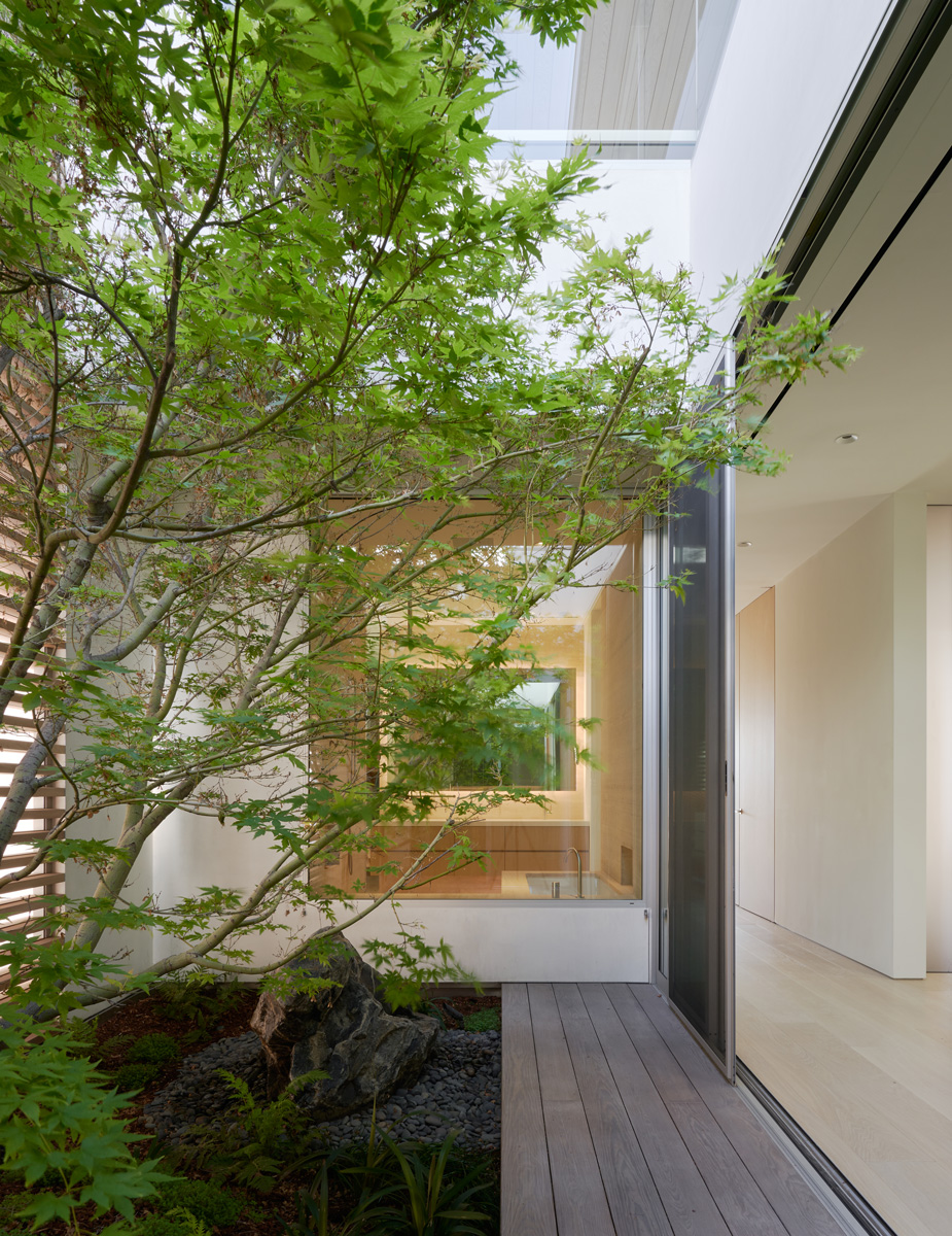 Montalba Architects — Montalba Architects