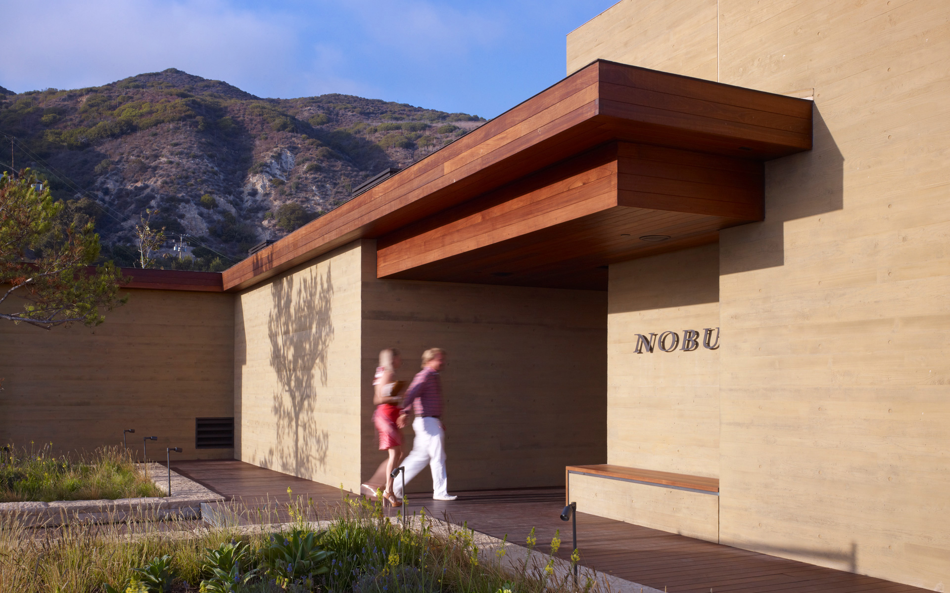 Montalba Architects — Montalba Architects