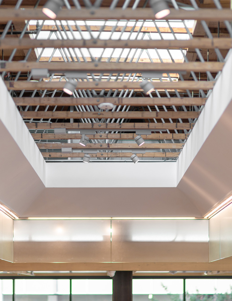 Montalba Architects — Montalba Architects
