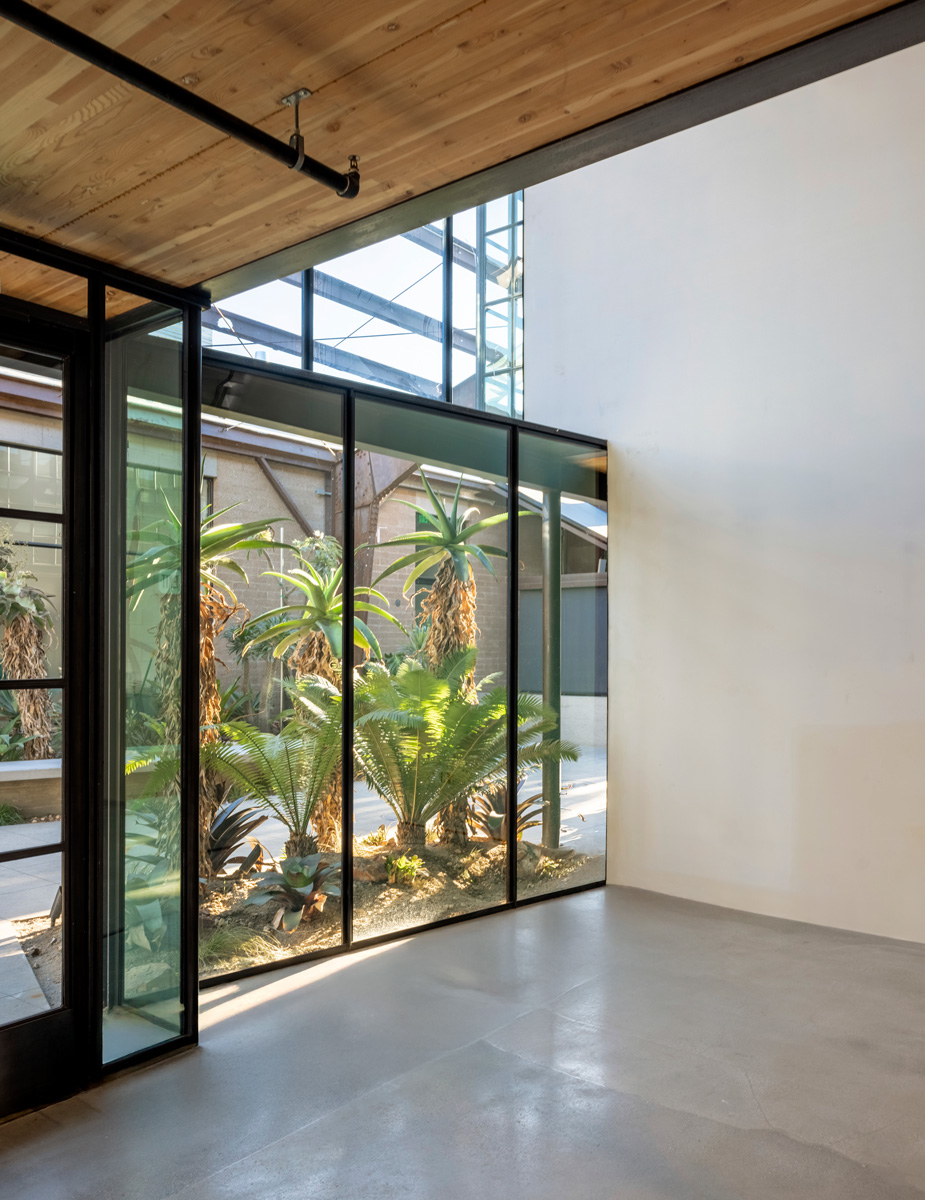 Montalba Architects — Montalba Architects