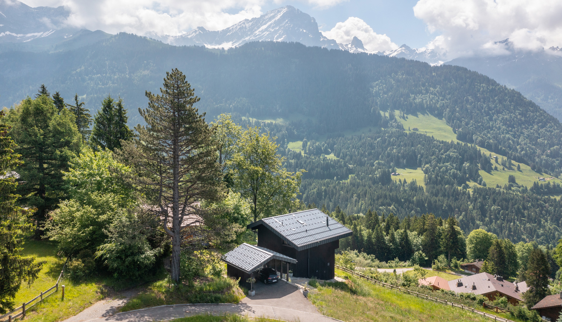 Montalba Architects — Montalba Architects