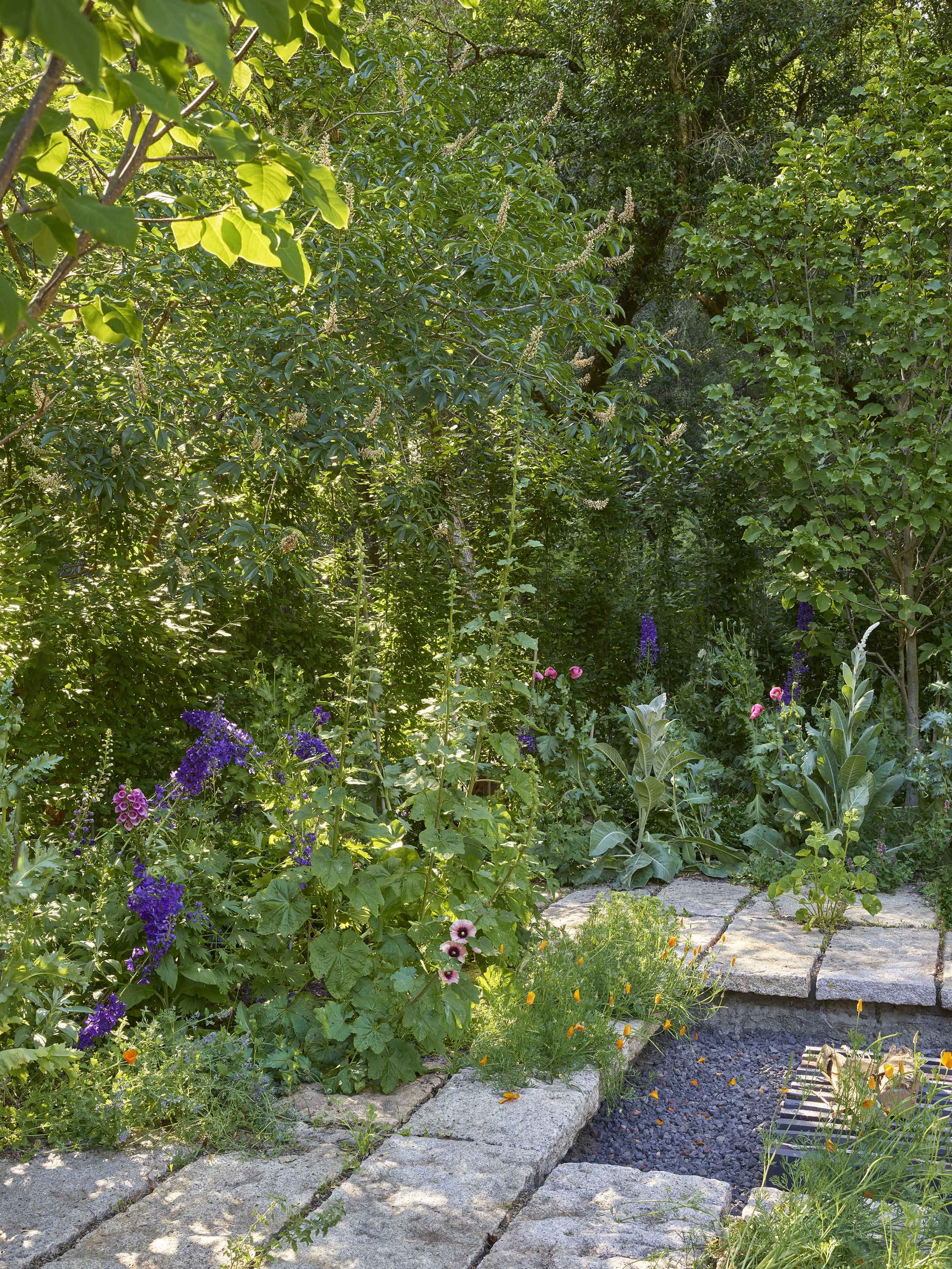 Mt Veeder Residence — Surfacedesign, Inc.