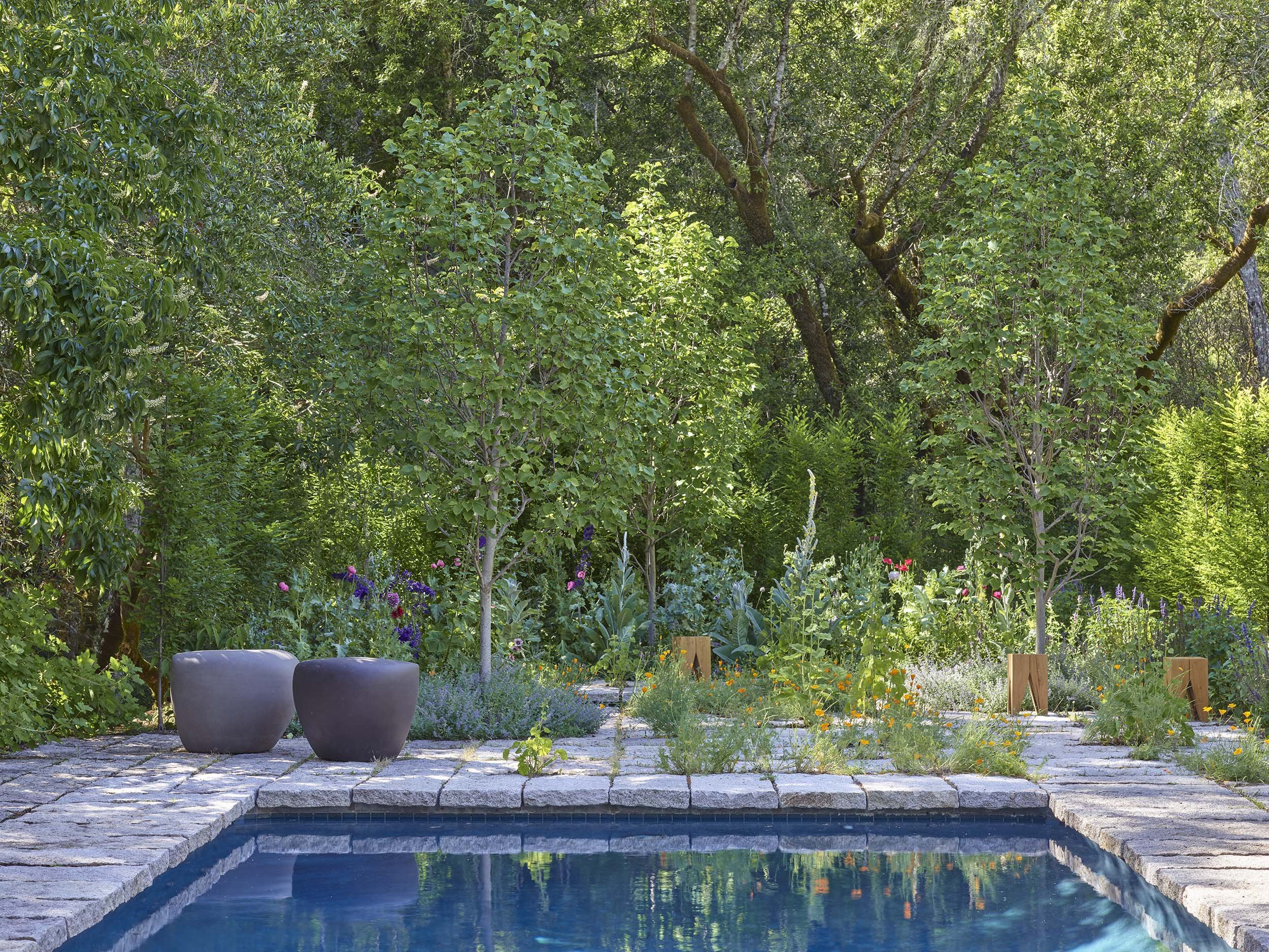 Mt Veeder Residence — Surfacedesign, Inc.