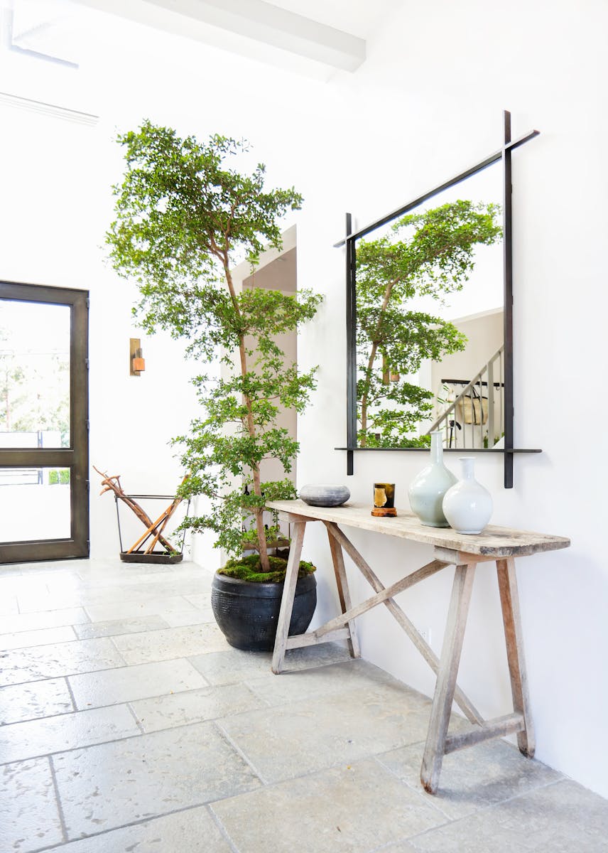Alexander Design — Grayfox — Alexander Design