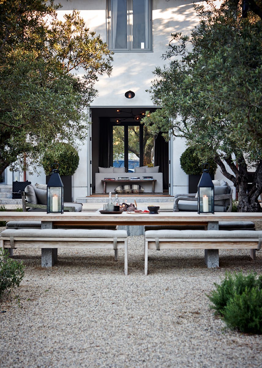 Alexander Design — Grayfox — Alexander Design