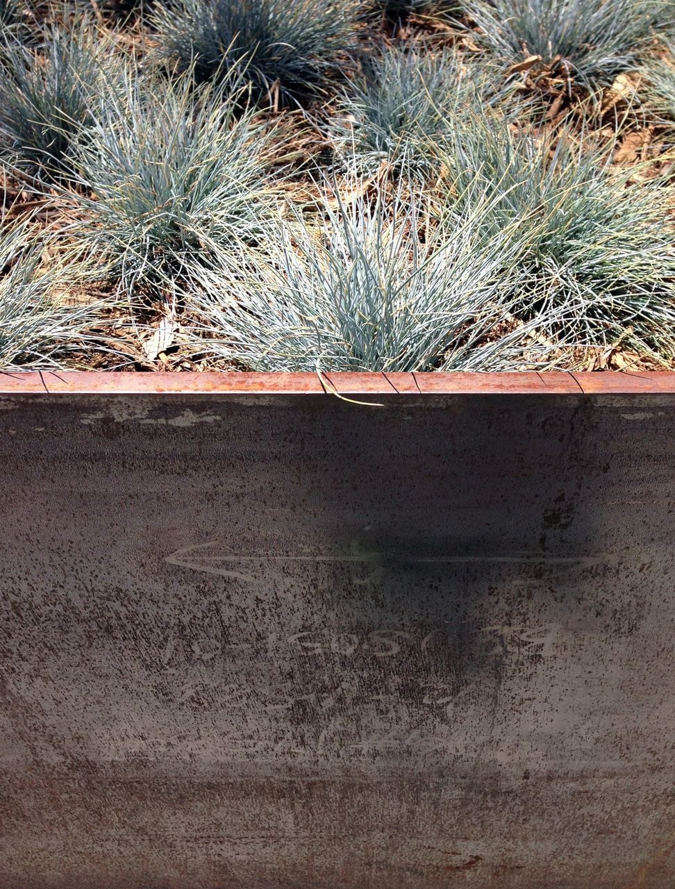 Oak Streets Residence — Fiore Landscape Design