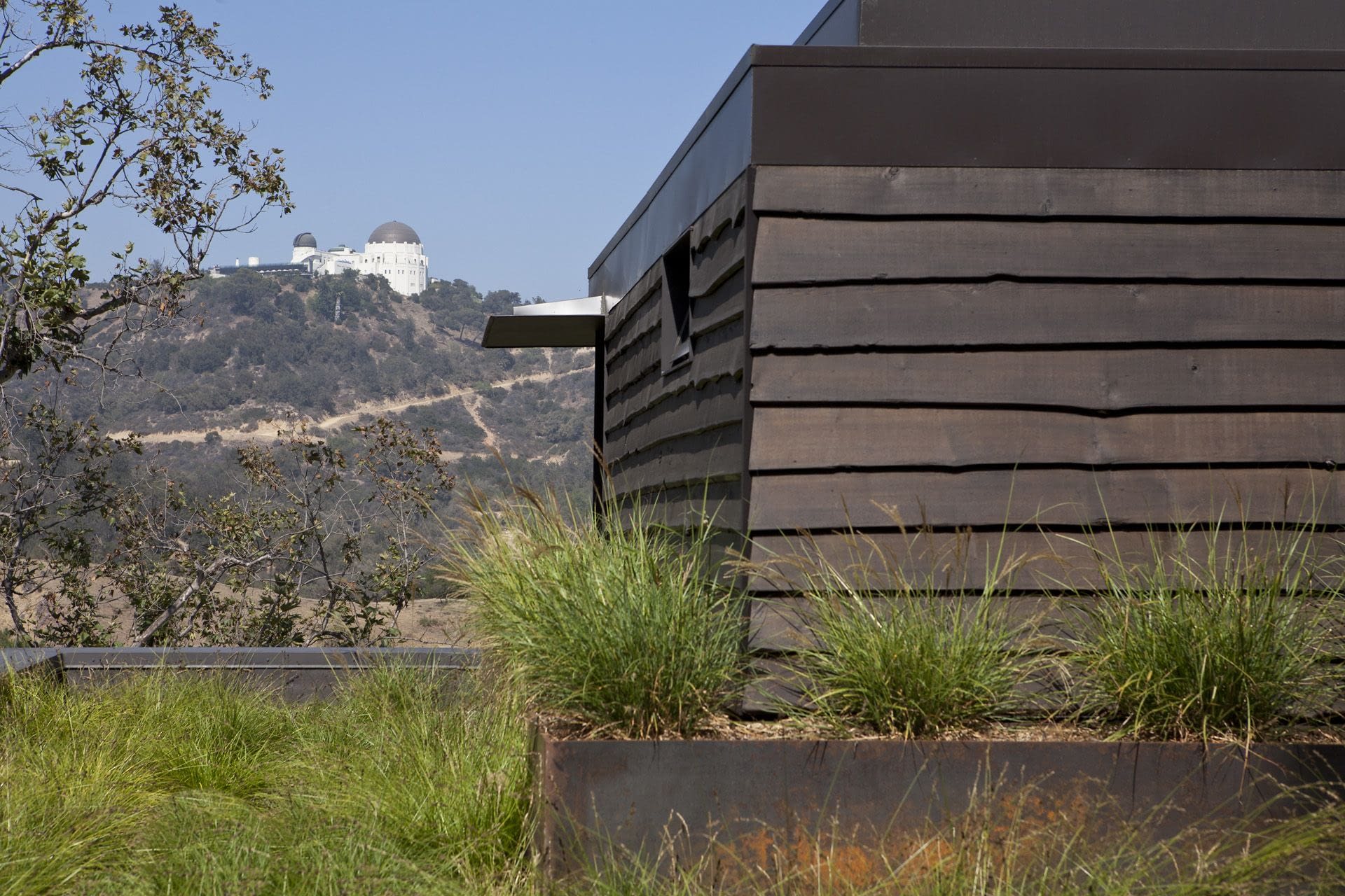 Oak Streets Residence — Fiore Landscape Design