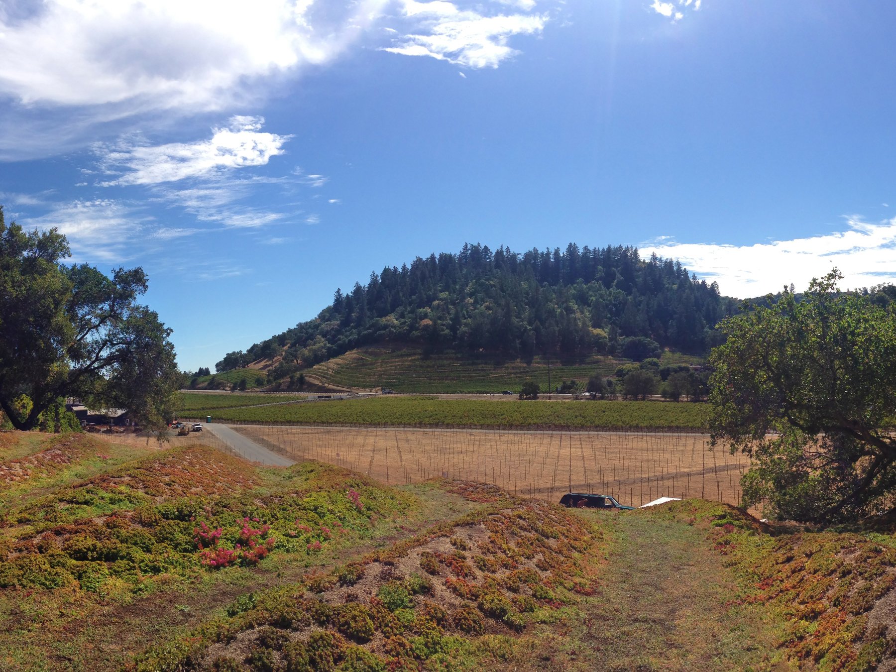 Odette Winery — Surfacedesign, Inc.
