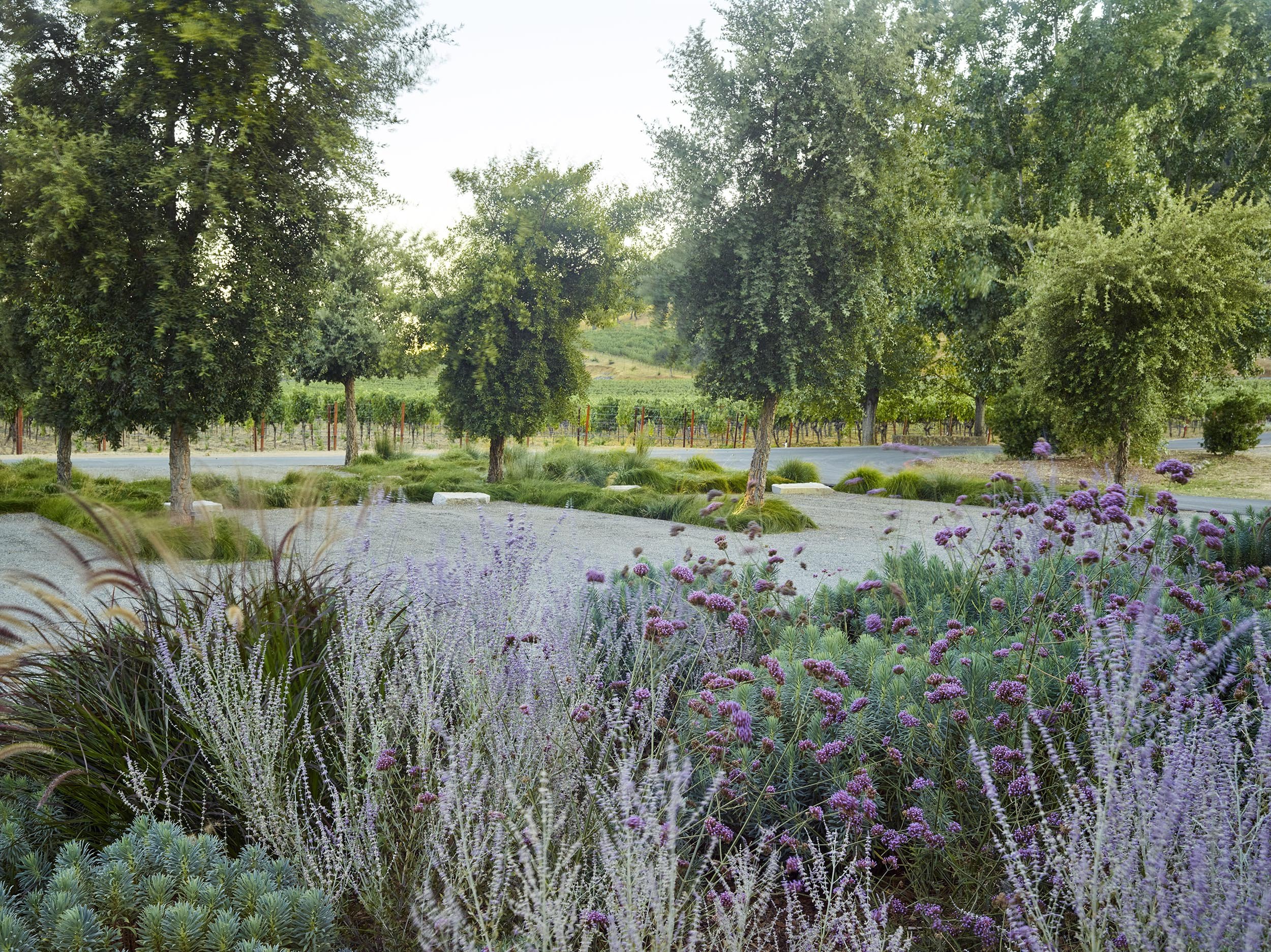 Odette Winery — Surfacedesign, Inc.