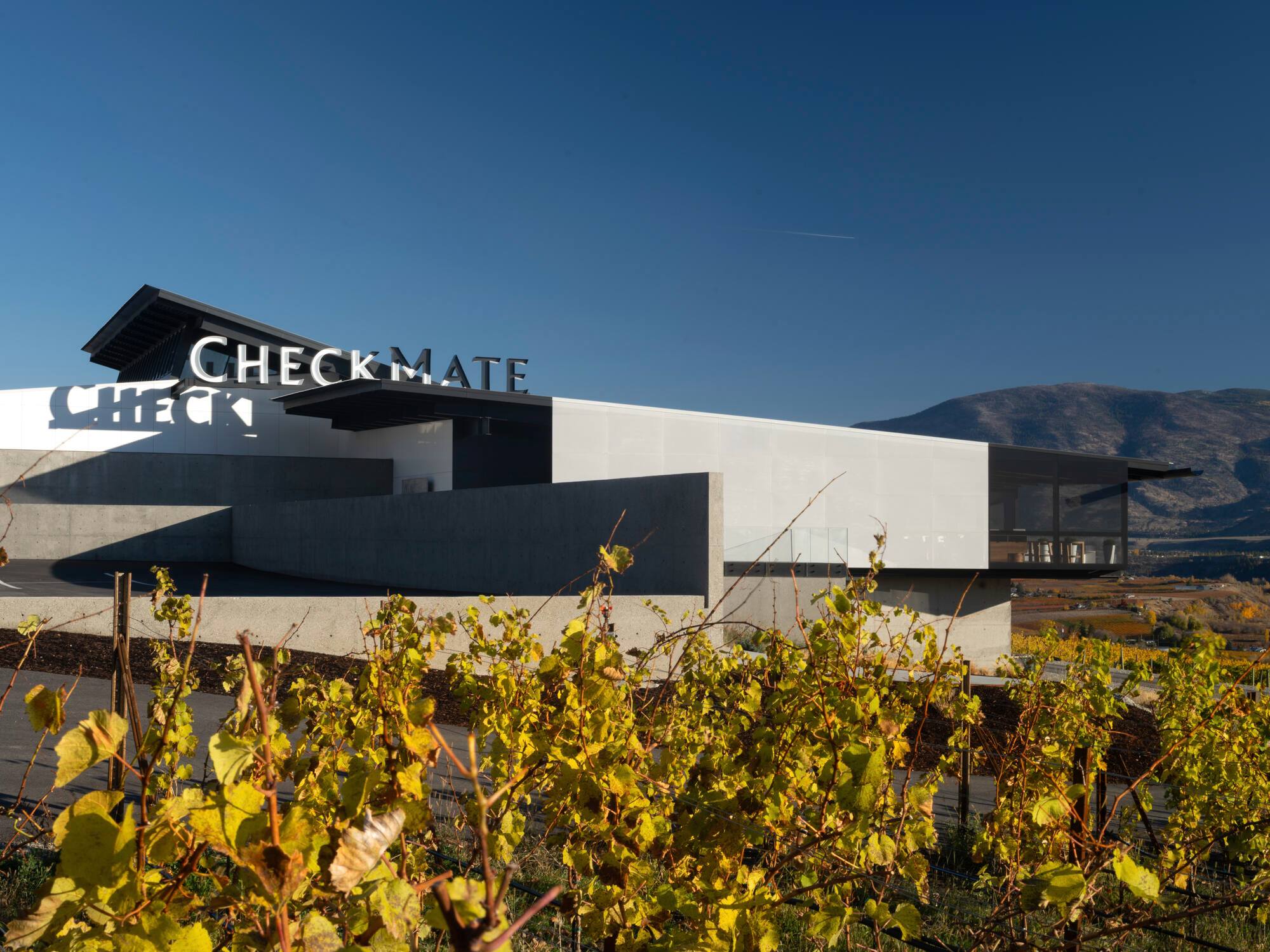 CheckMate Winery — Olson Kundig