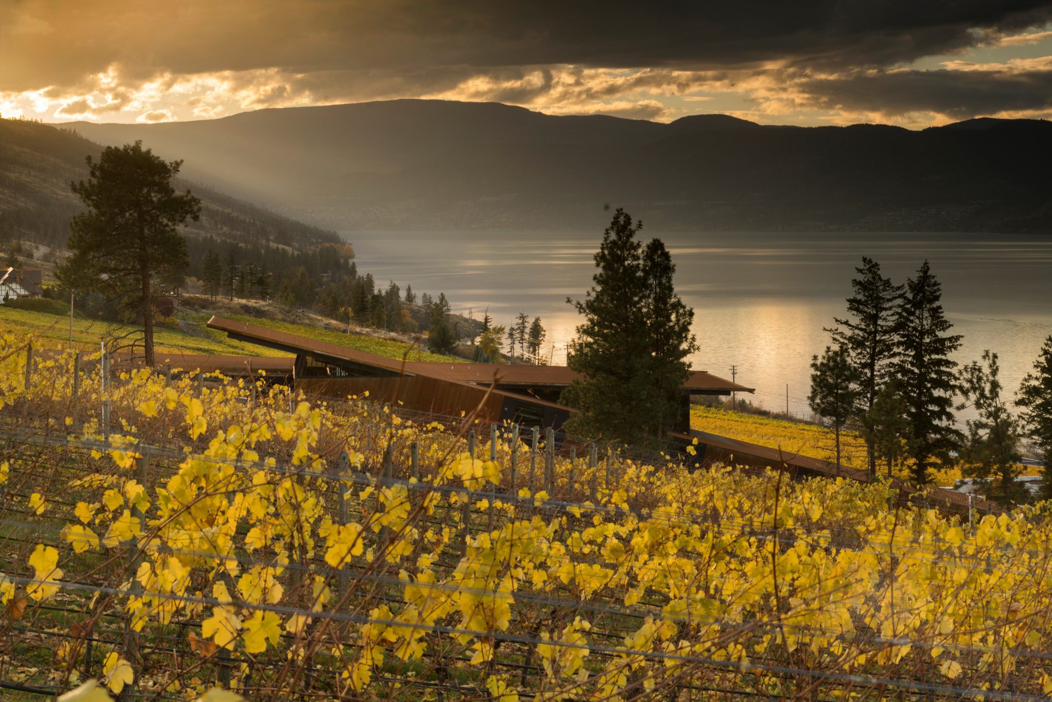 Cave B Cabins — Olson Kundig