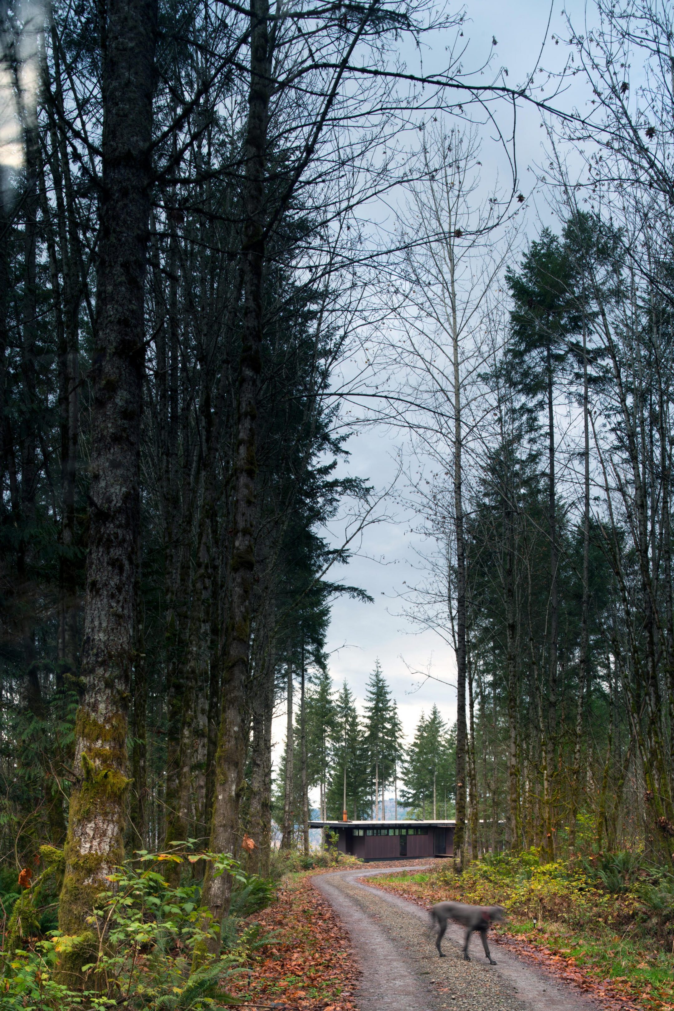 Maxon House — Olson Kundig