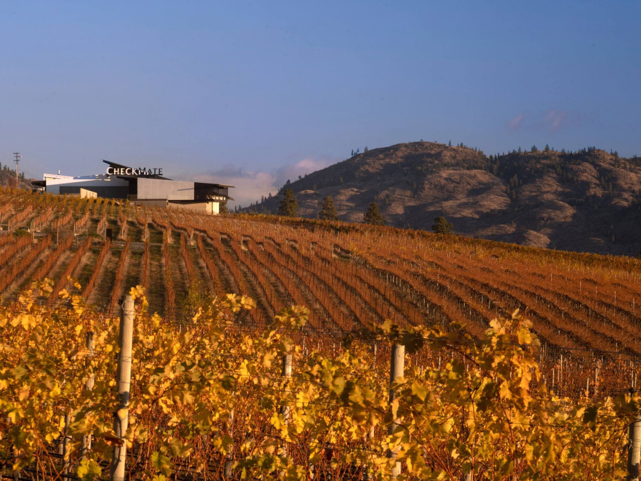 Sagecliffe — Olson Kundig