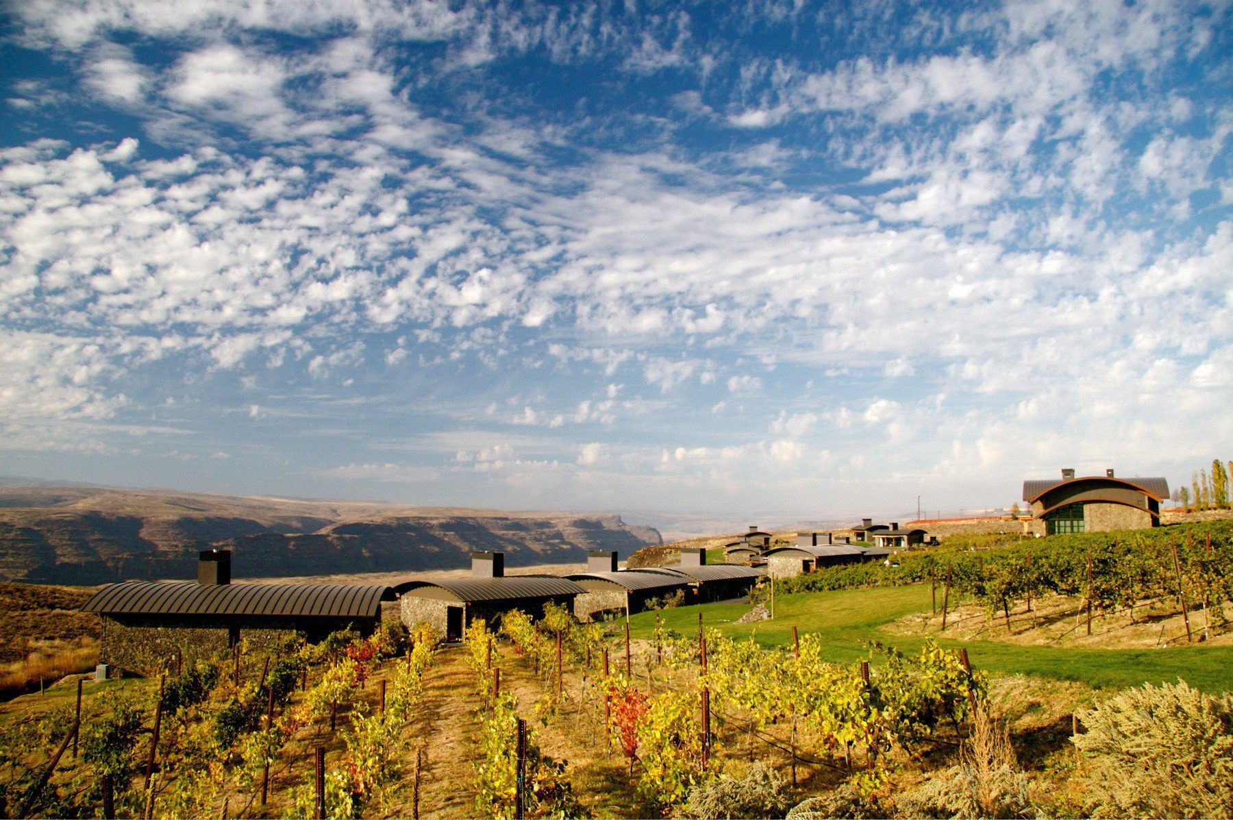 Cave B Cabins — Olson Kundig