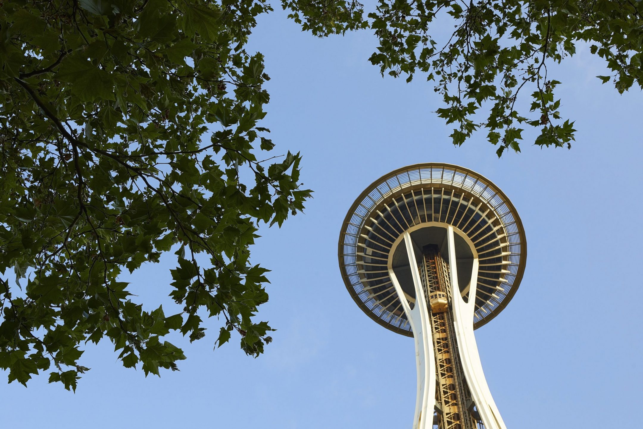 The Century Project at the Space Needle — Olson Kundig