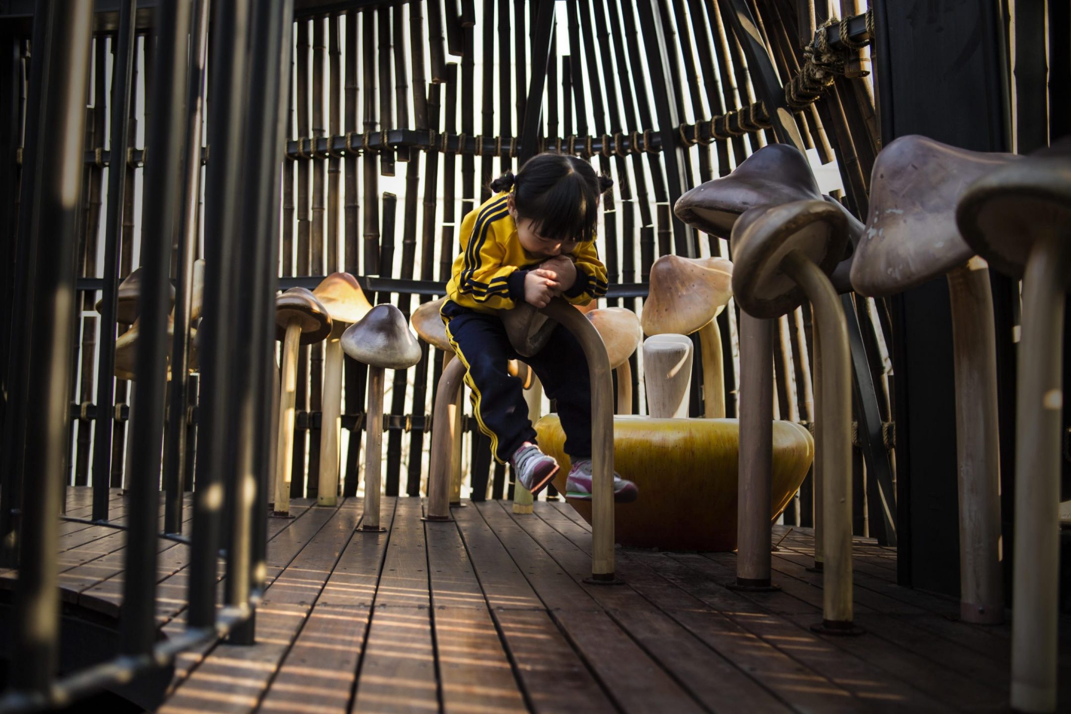 Zooraji Rooftop — Olson Kundig