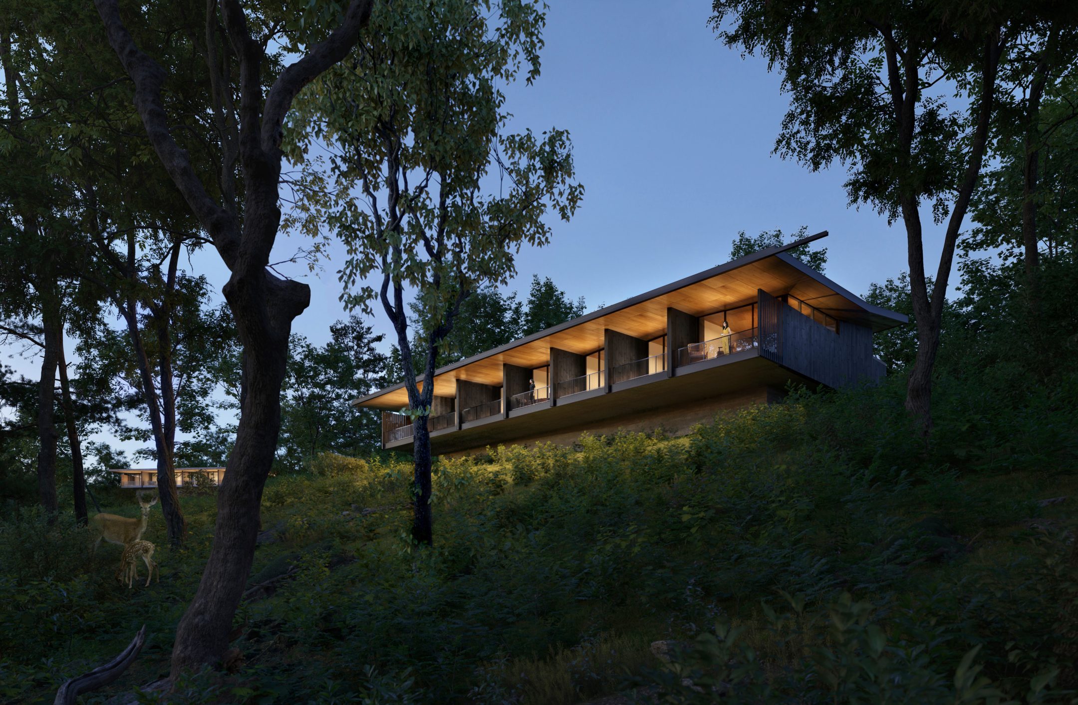 Simply Shenandoah — Olson Kundig