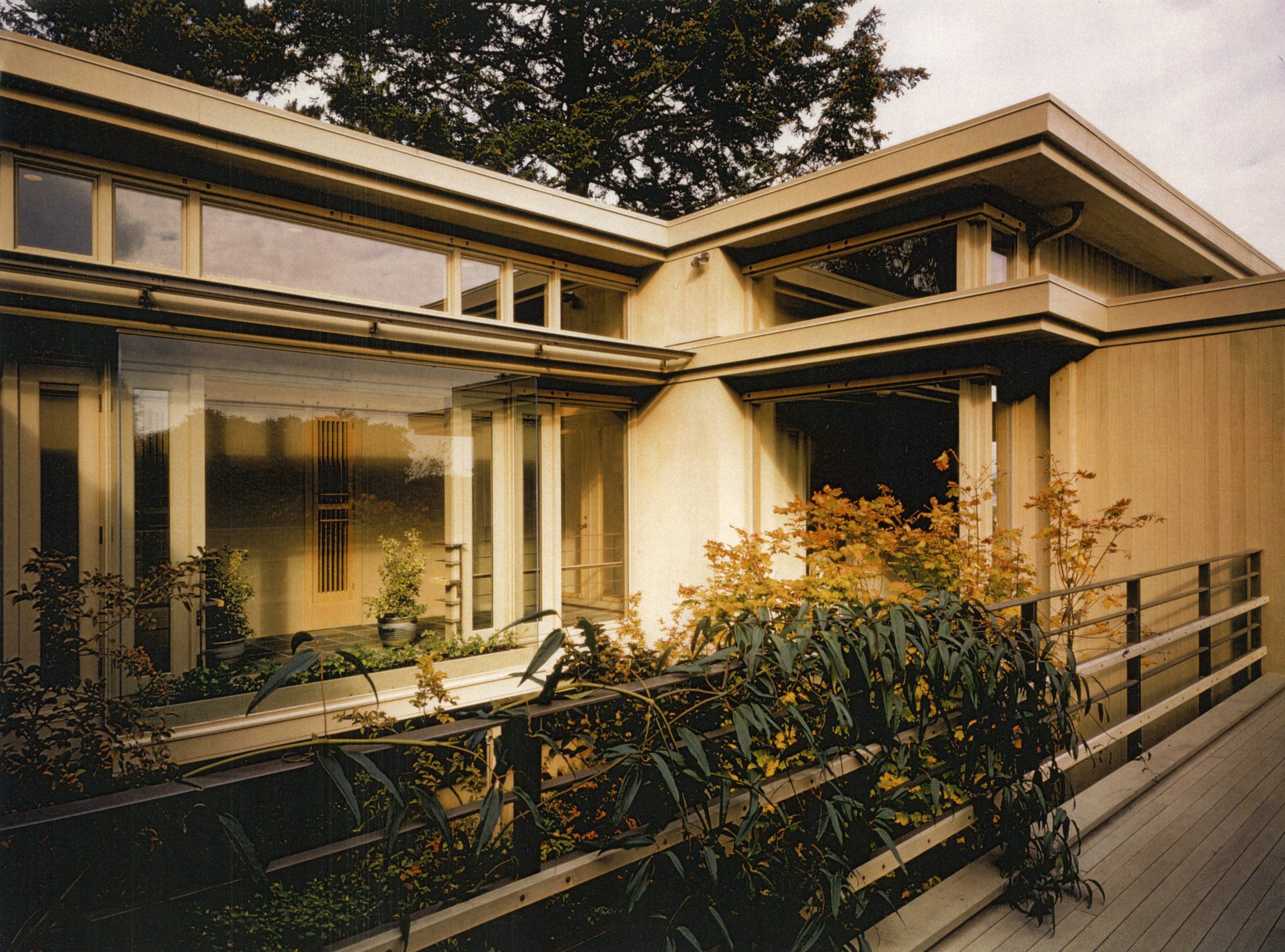 Urban Nature House — Olson Kundig