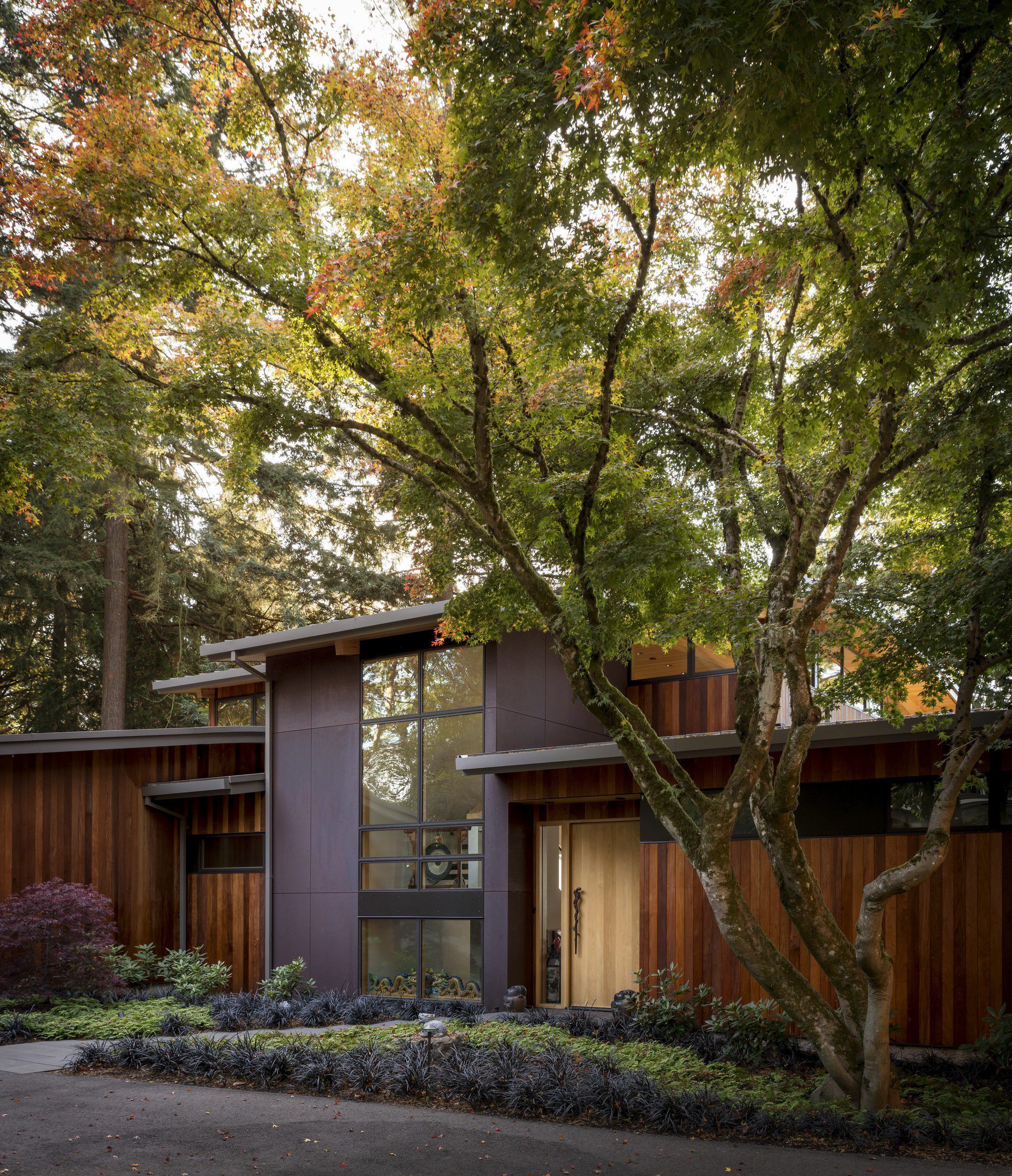 Wave House — Olson Kundig