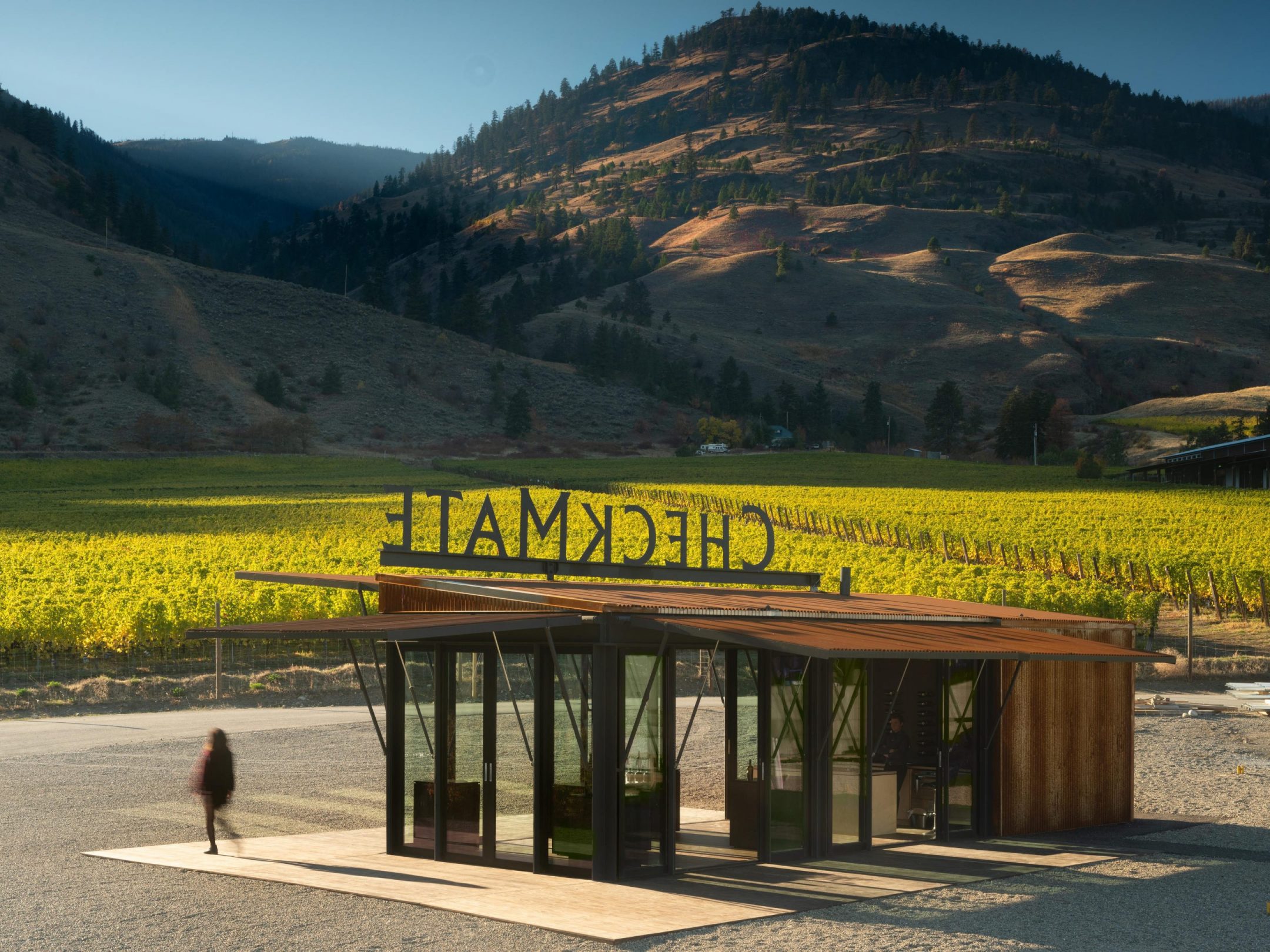 CheckMate Winery Pop — Olson Kundig