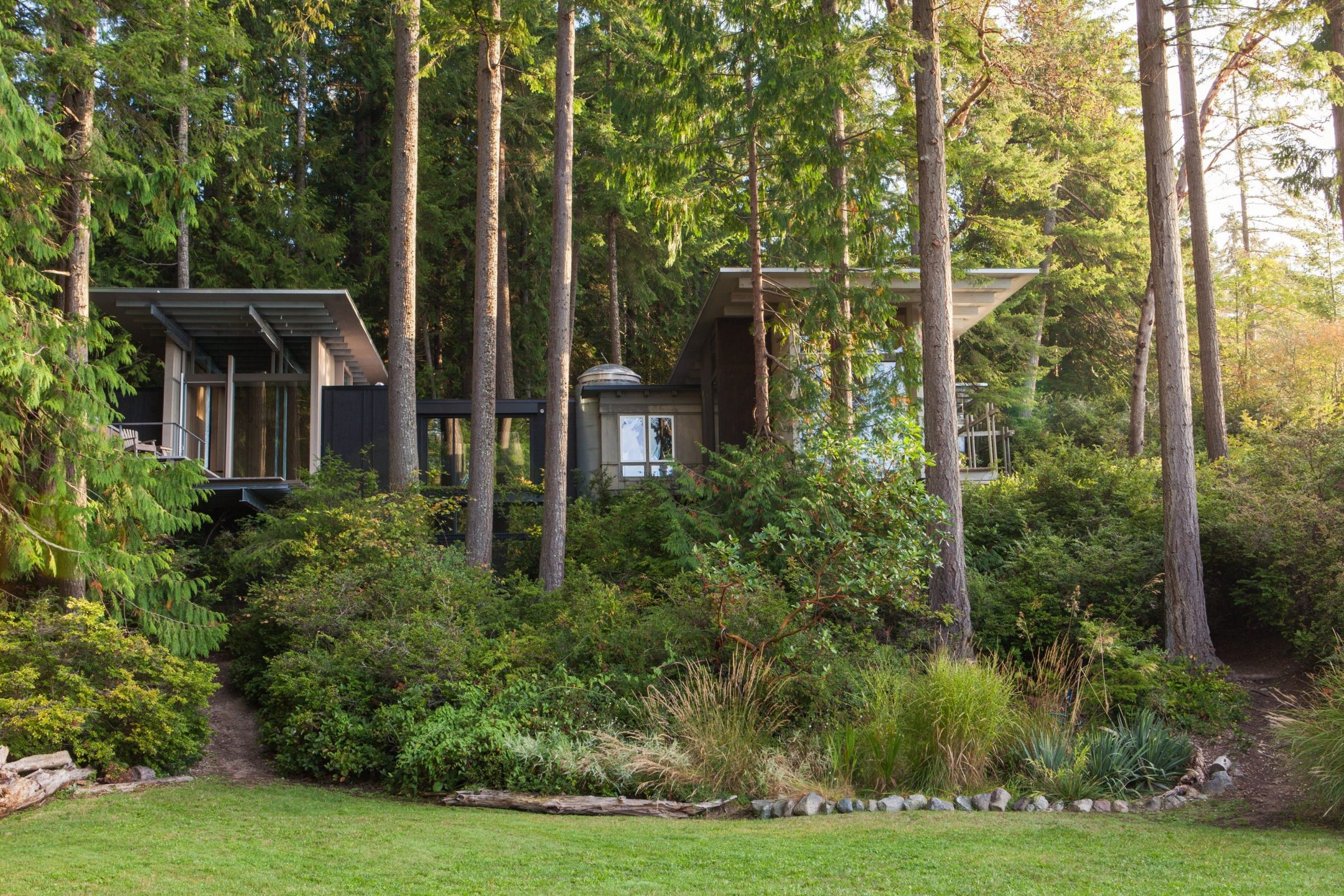 Cabin at Longbranch — Olson Kundig