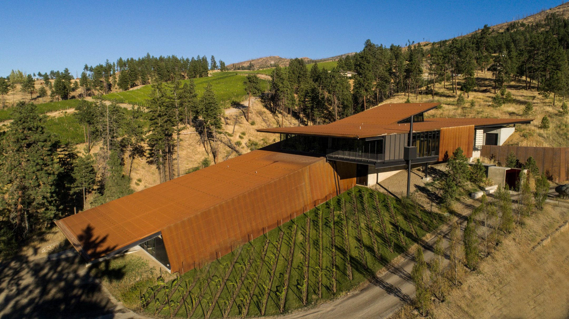 Martin’s Lane Winery — Olson Kundig