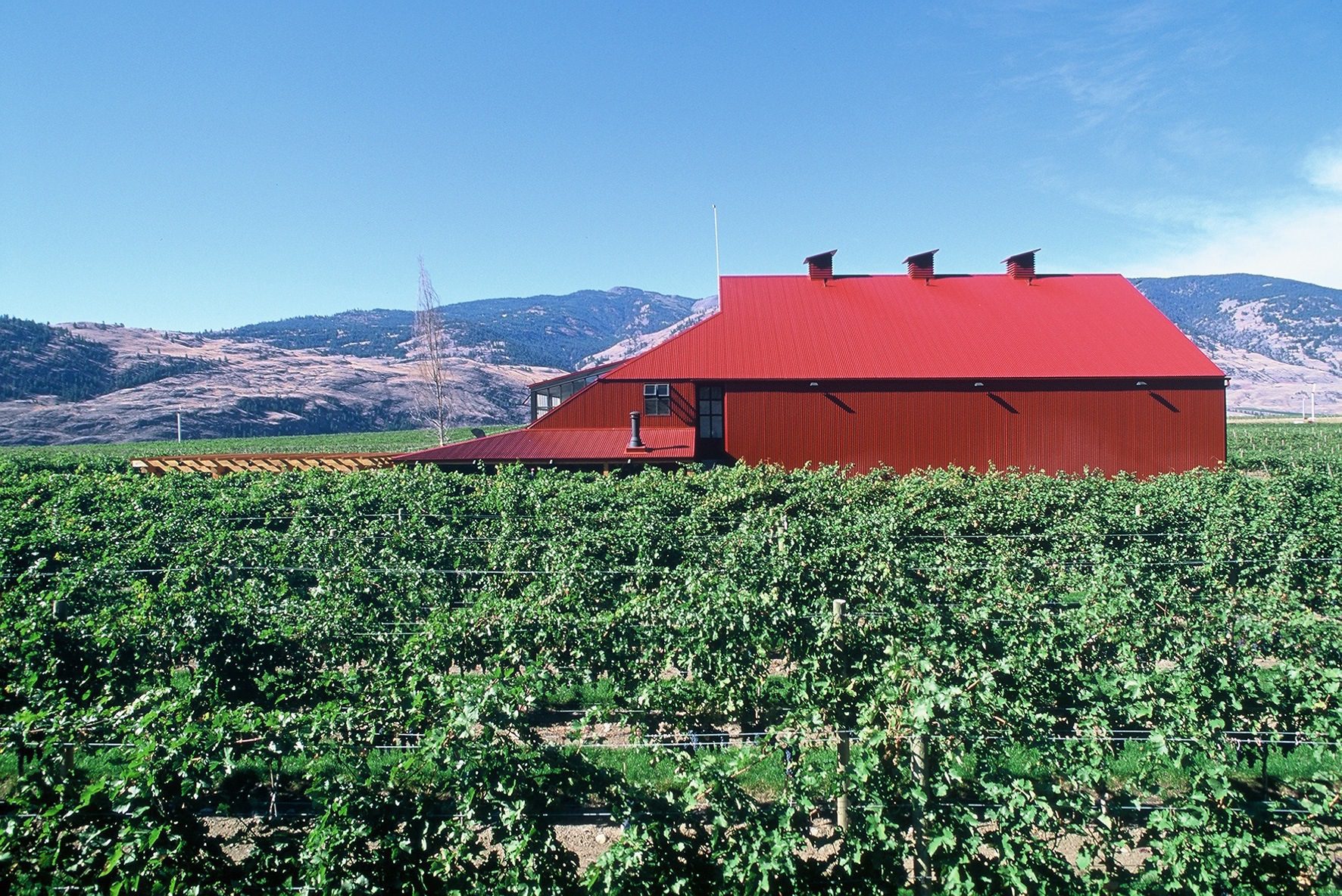 Osoyoos Barn and Visitors Center at Mission Hill Family Estate Winery — Olson Kundig