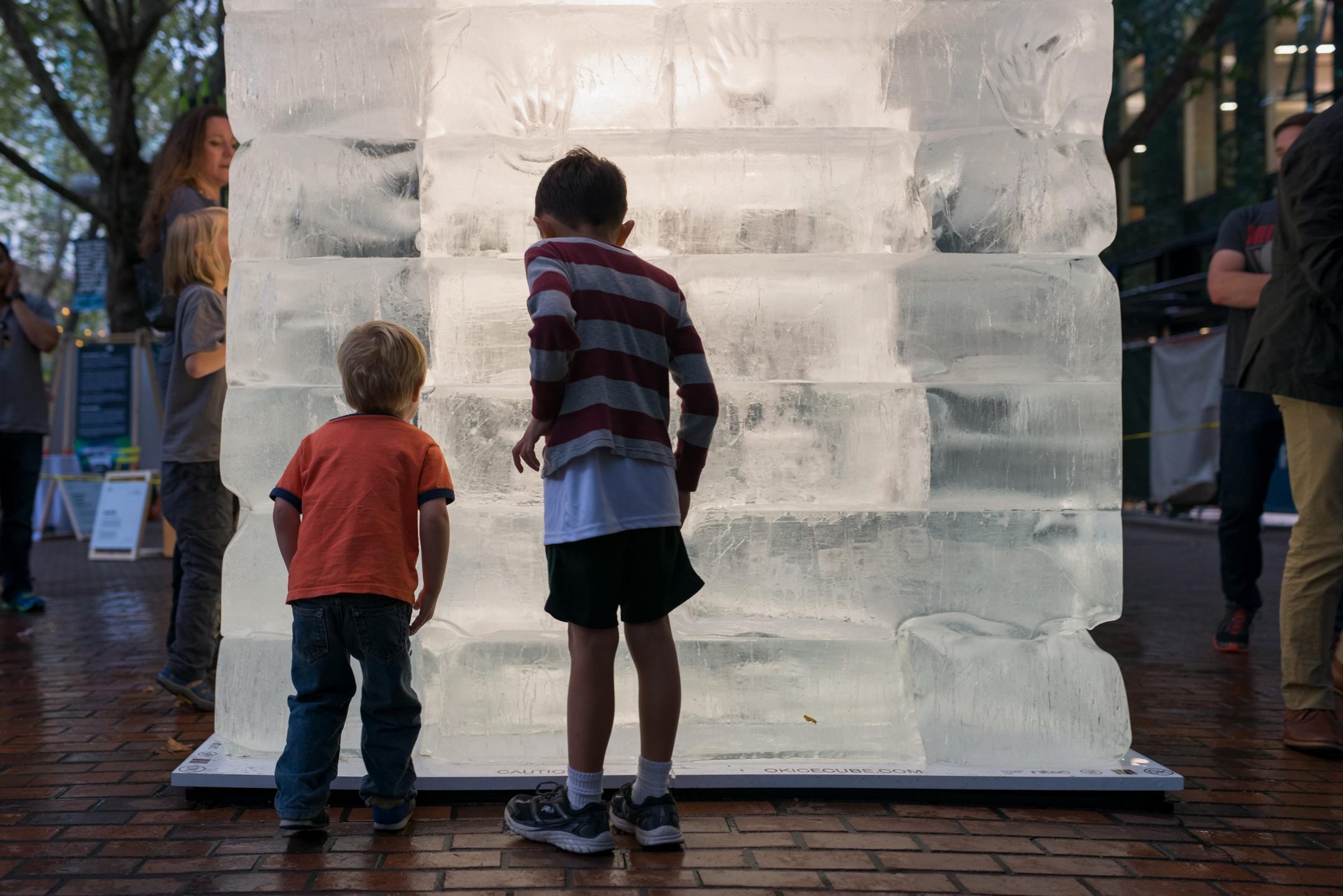ICE CUBE — Olson Kundig