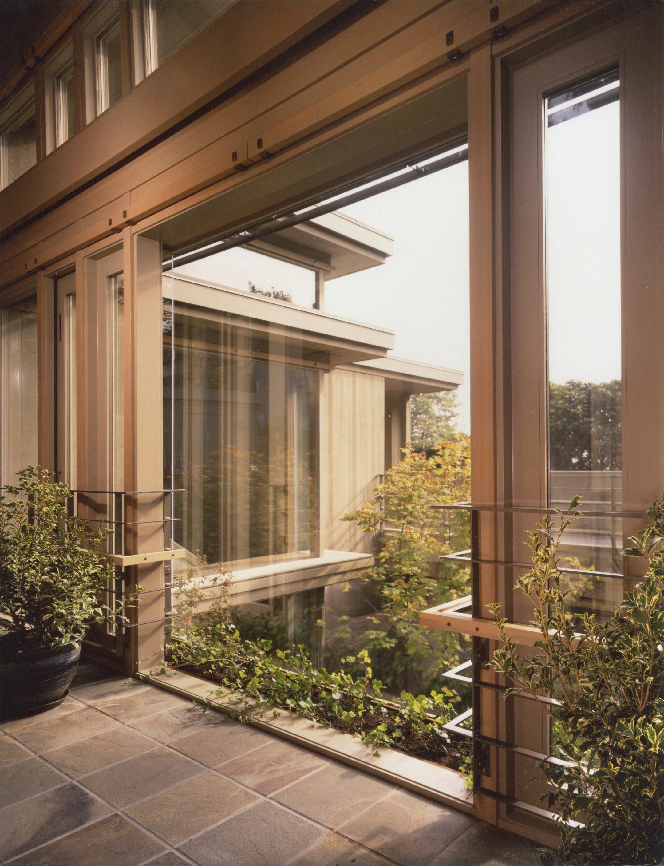 Urban Nature House — Olson Kundig