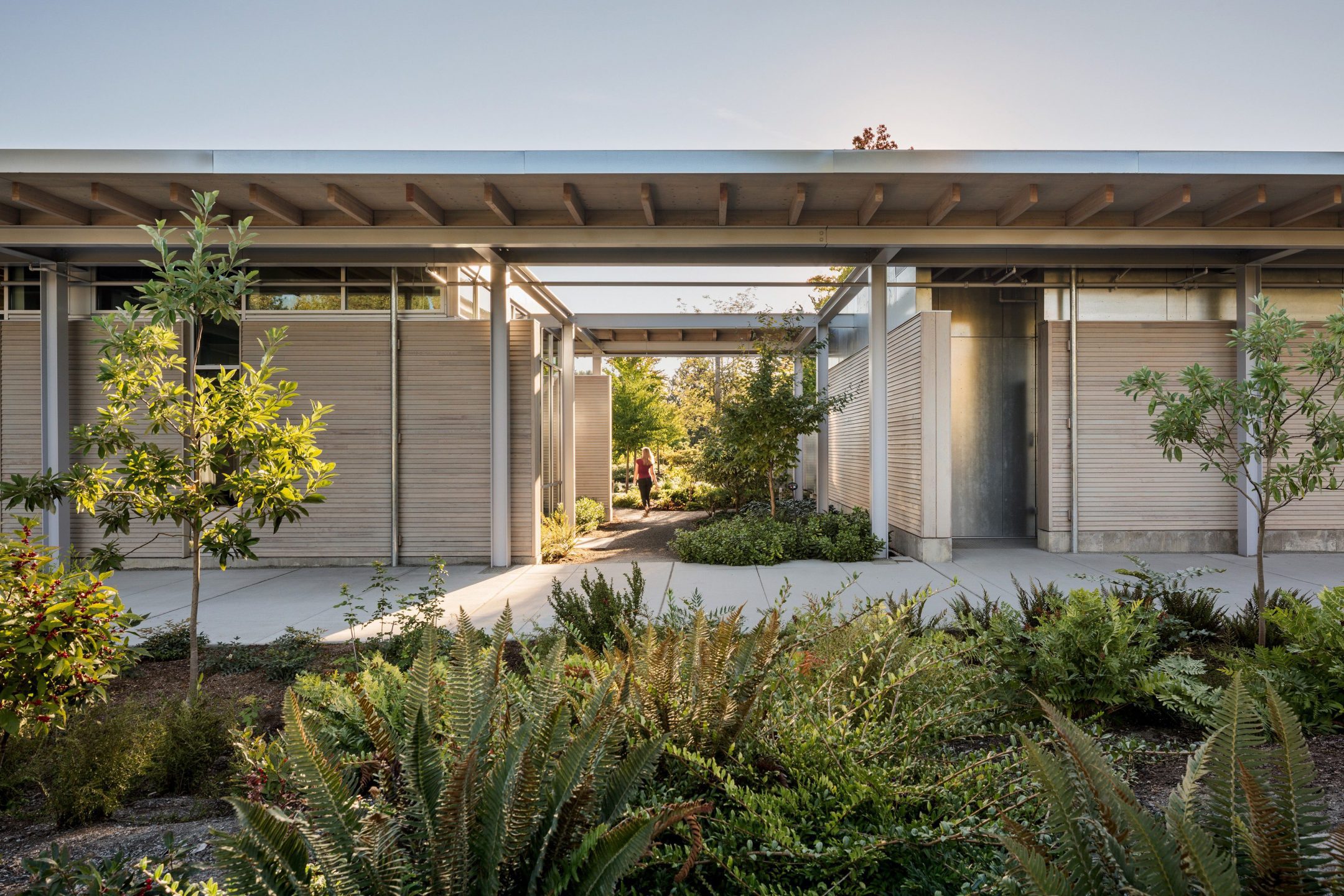Bellevue Botanical Garden Visitor Center — Olson Kundig