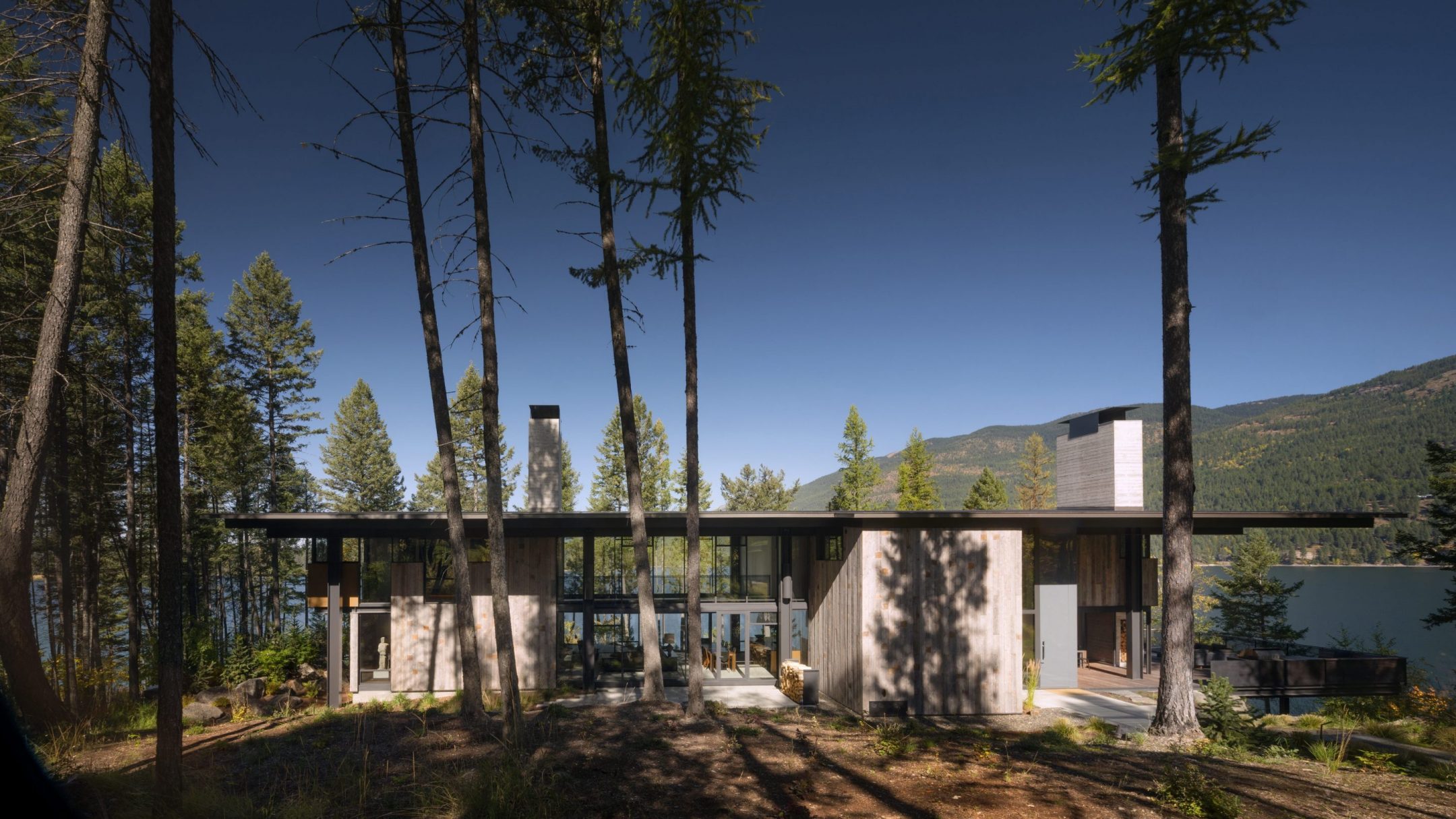 Dragonfly — Olson Kundig