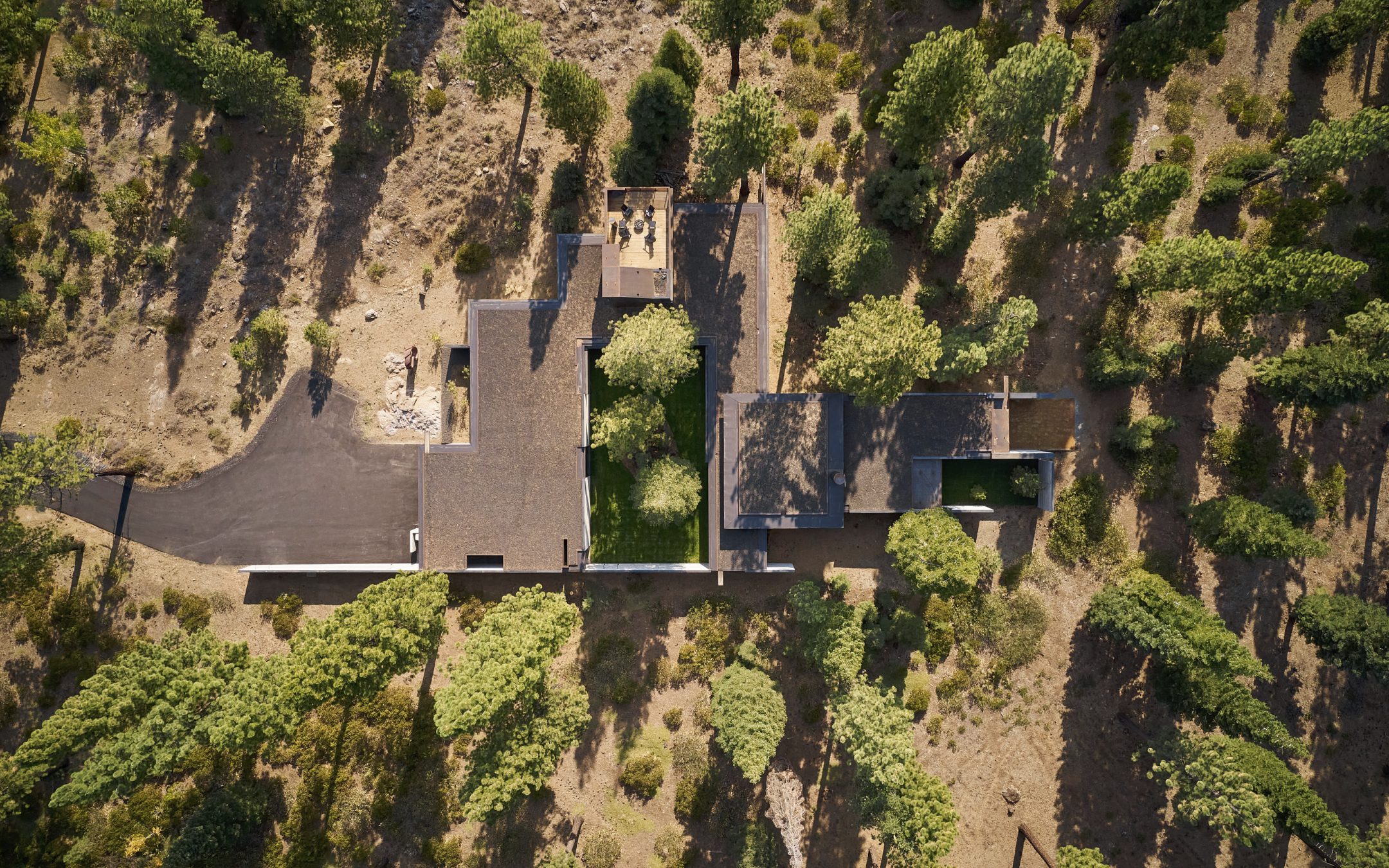 Analog House — Olson Kundig