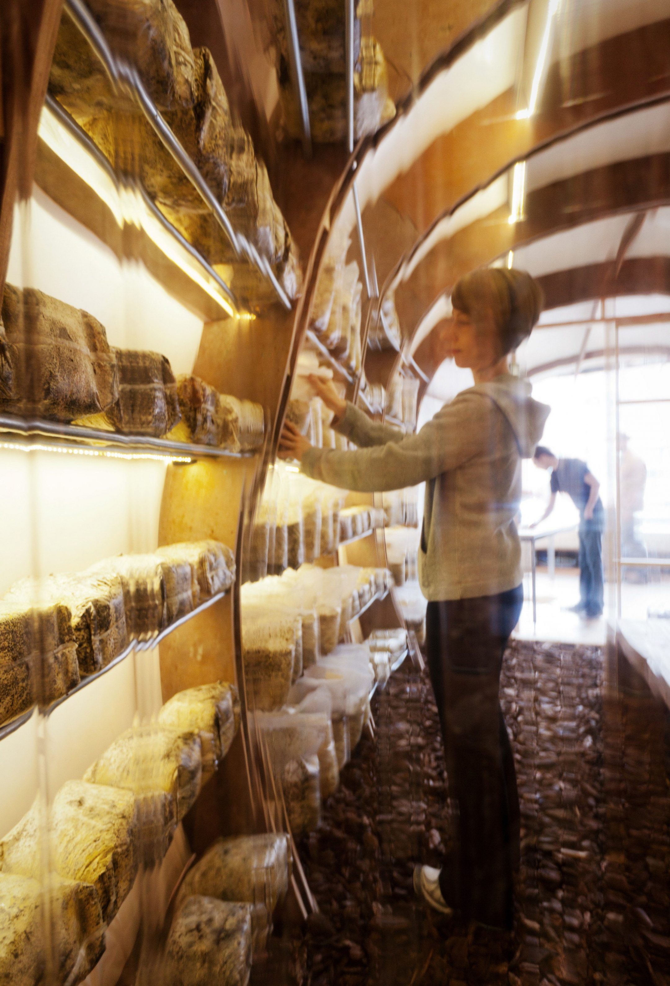 Mushroom Farm at [storefront] Olson Kundig — Olson Kundig