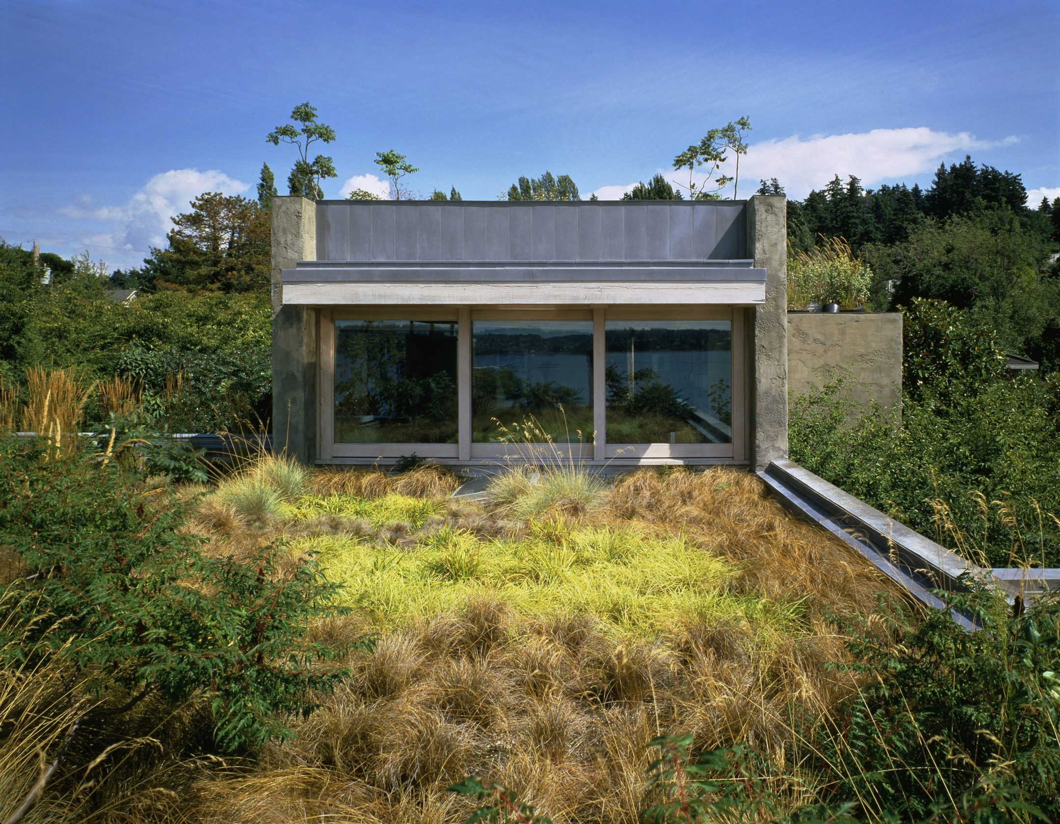 Shelter House — Olson Kundig