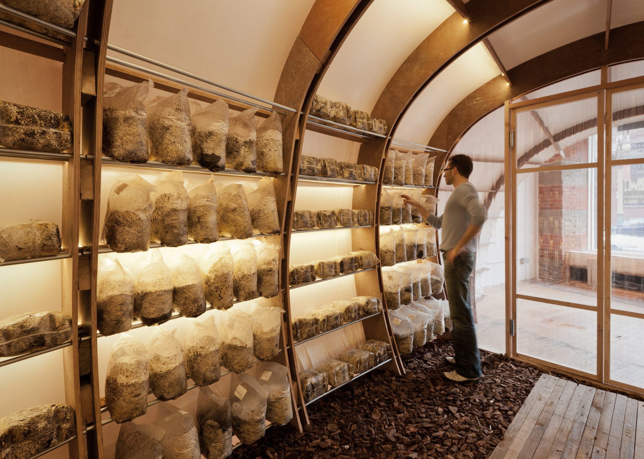 Mushroom Farm at [storefront] Olson Kundig — Olson Kundig