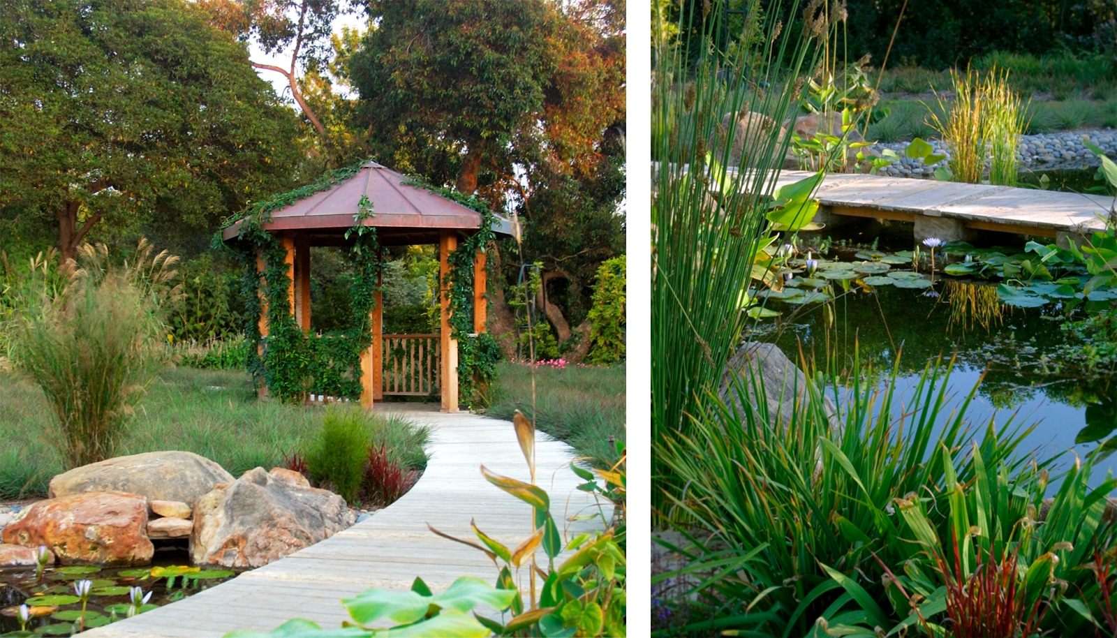 Ona's Garden Landscaping Blackbird Architects Santa Barbara — Blackbird Architects, Santa Barbara, California - Residential & Commercial