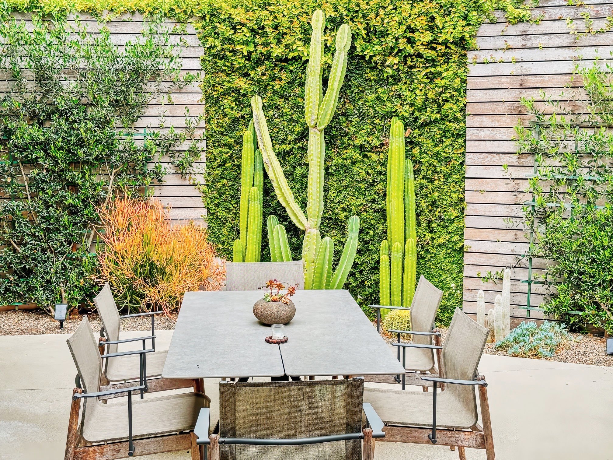 PATTERSON OAKS — a34studio