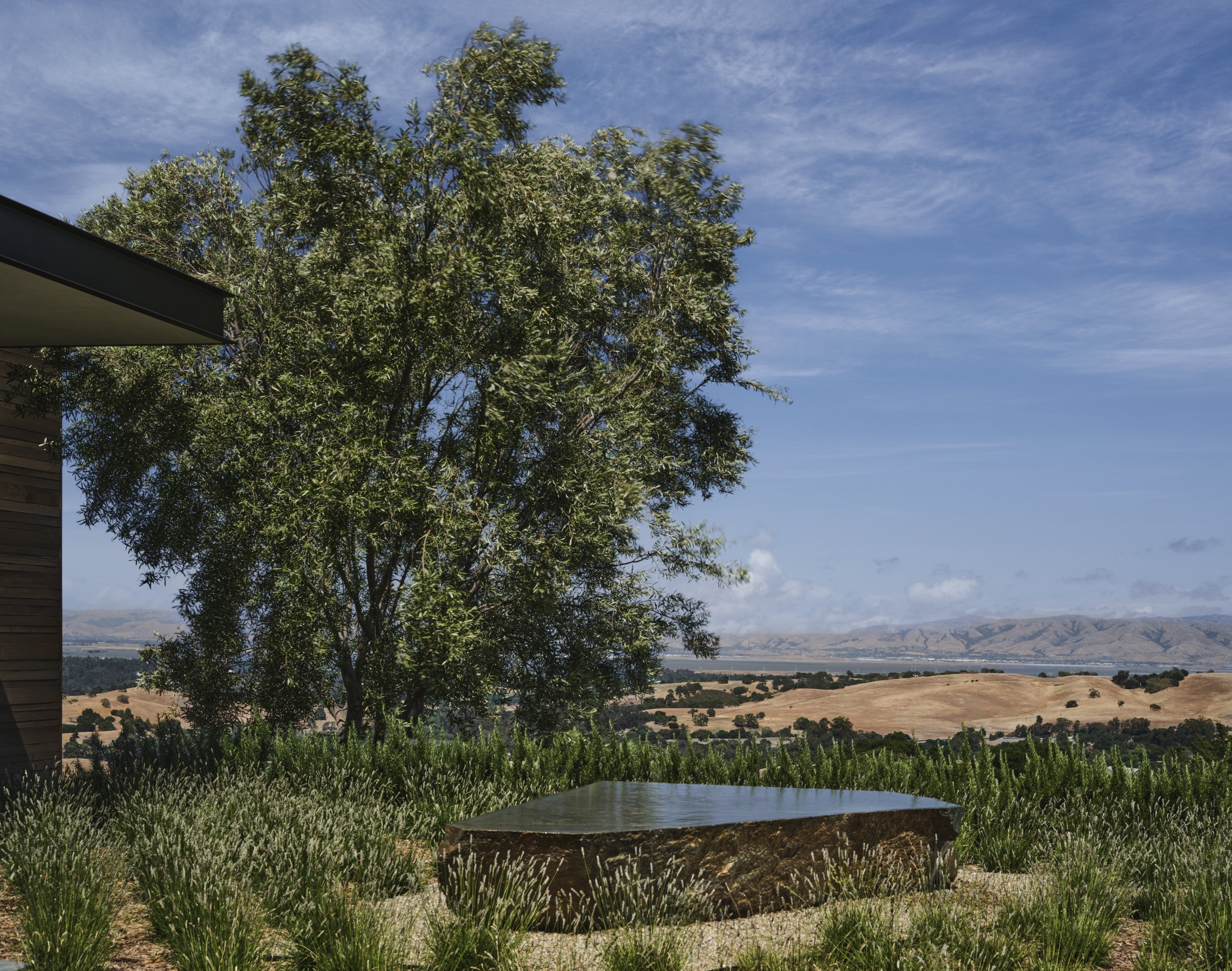 Portola Preserve — Walker Warner