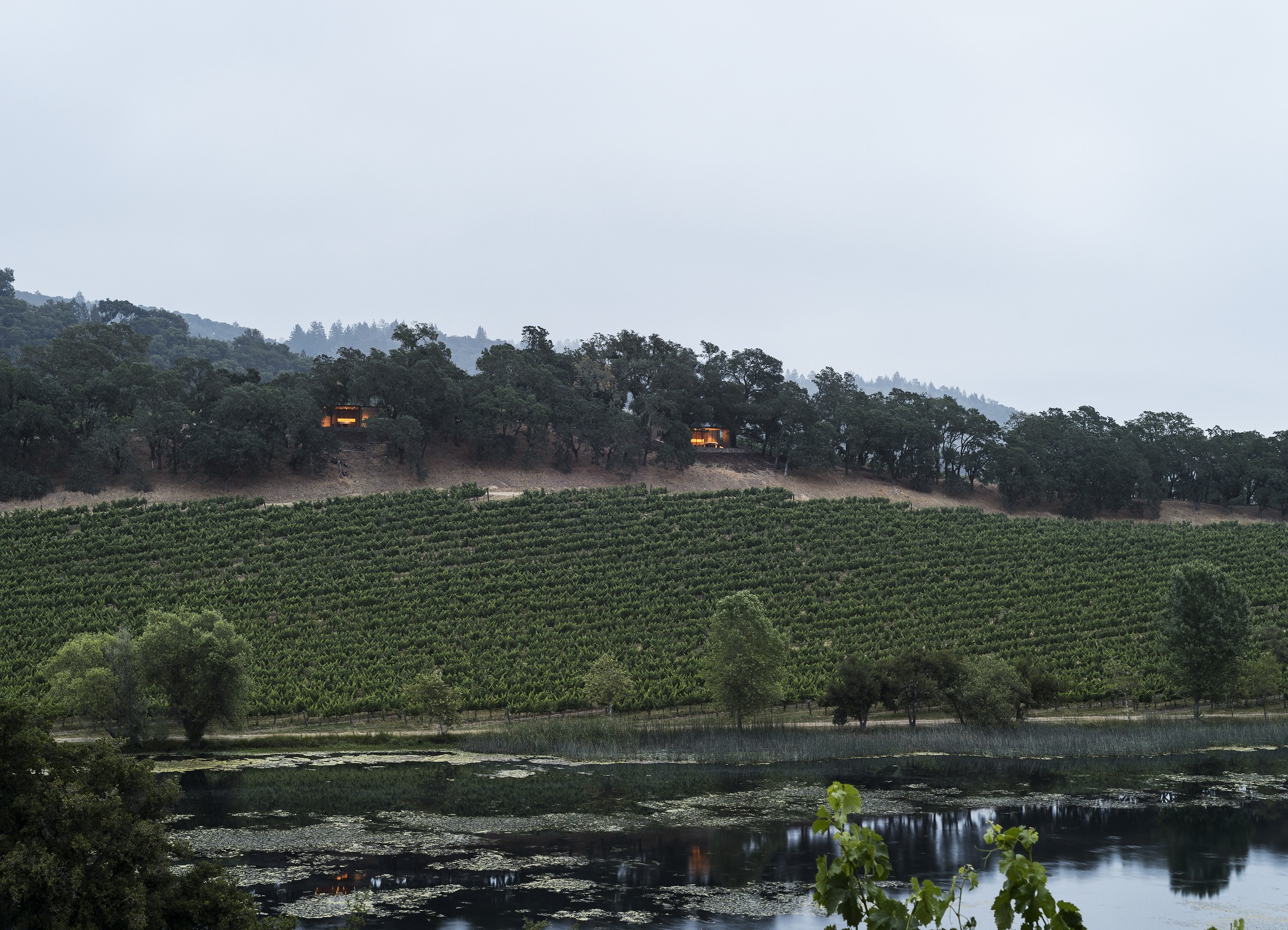Quintessa Estate — Walker Warner