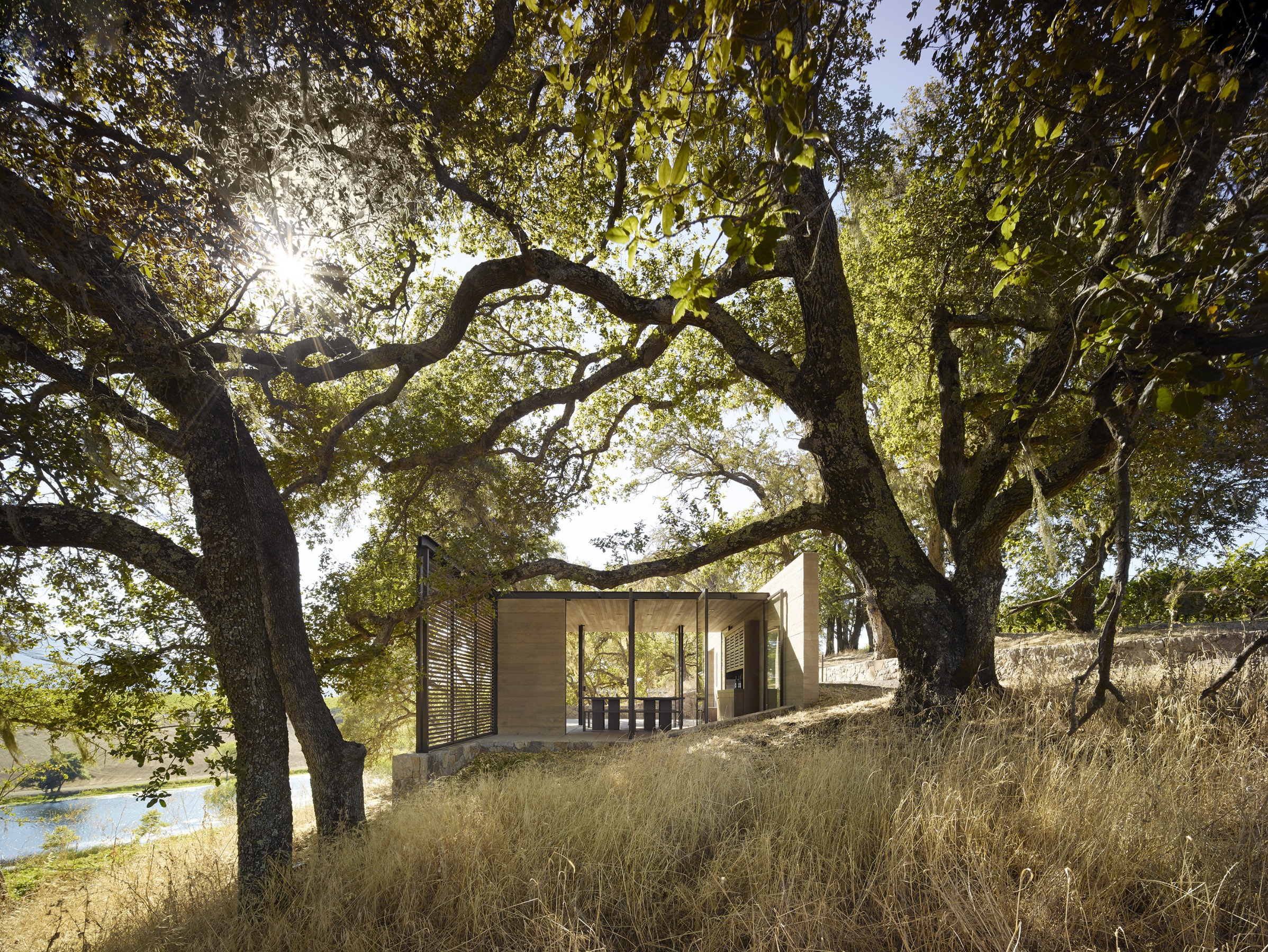 Quintessa Estate — Walker Warner