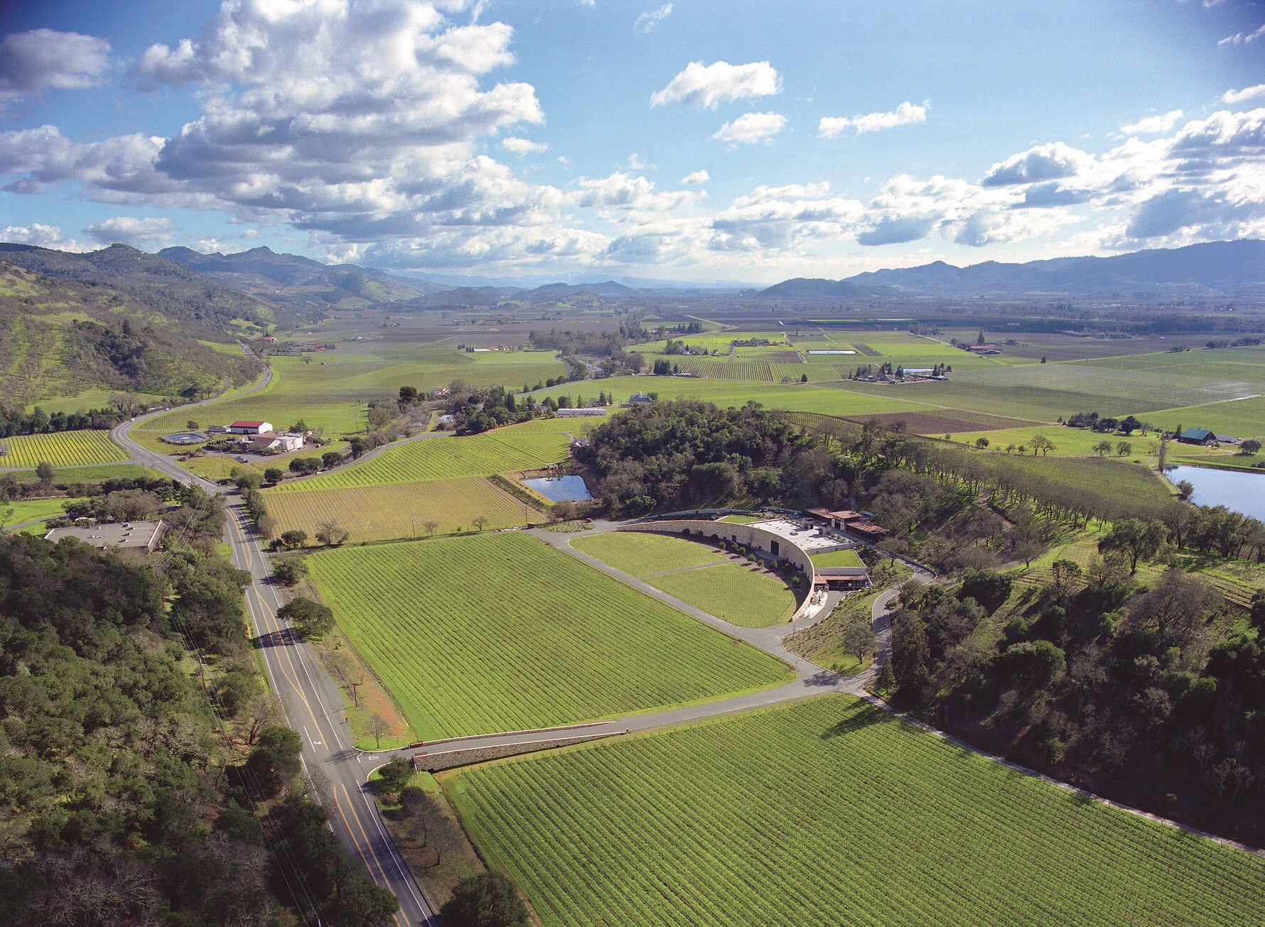 Quintessa Estate — Walker Warner