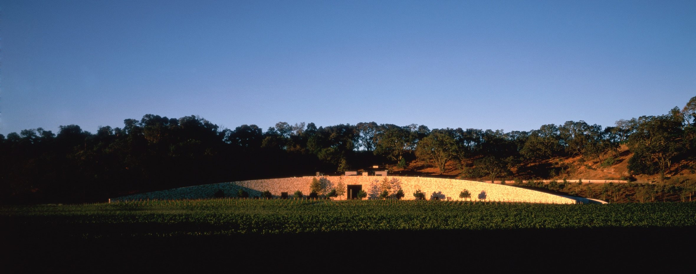Quintessa Estate — Walker Warner