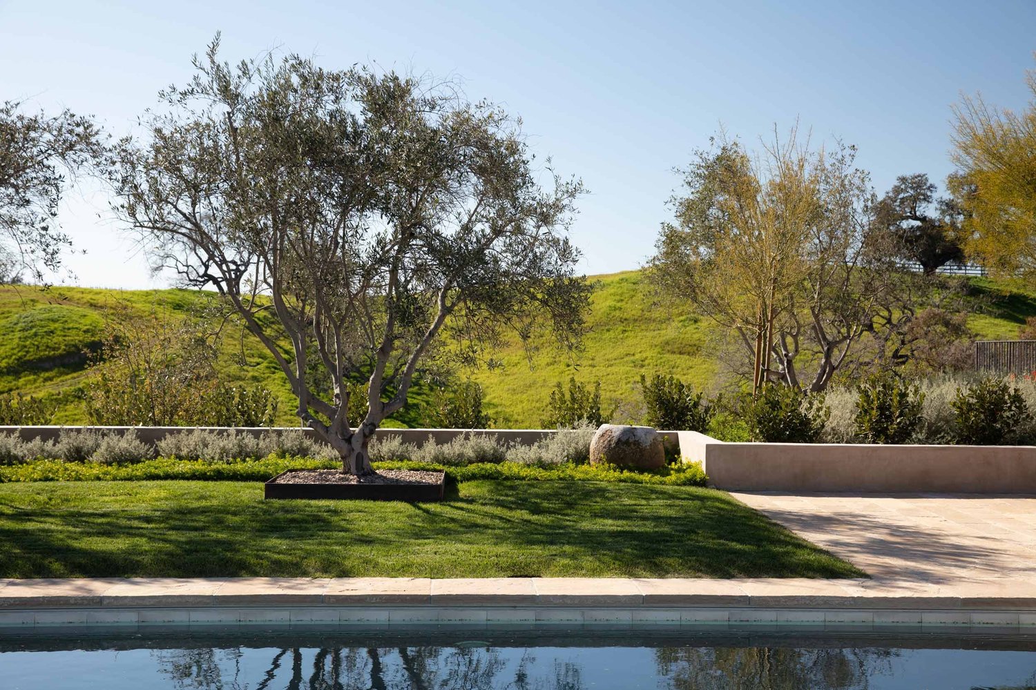 Rancho Los Olivos — Tom Meaney | Architect