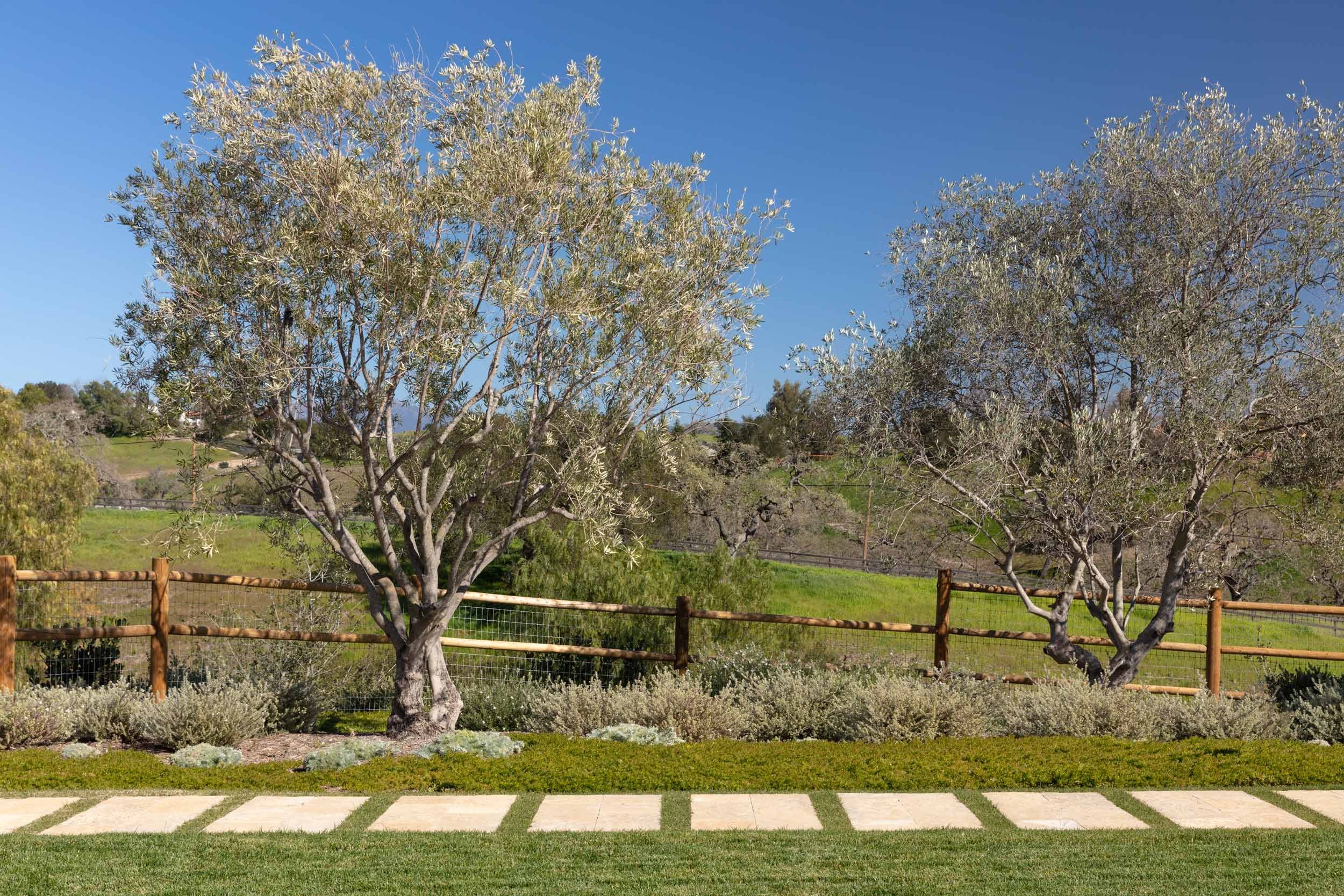 Rancho Los Olivos — Tom Meaney | Architect