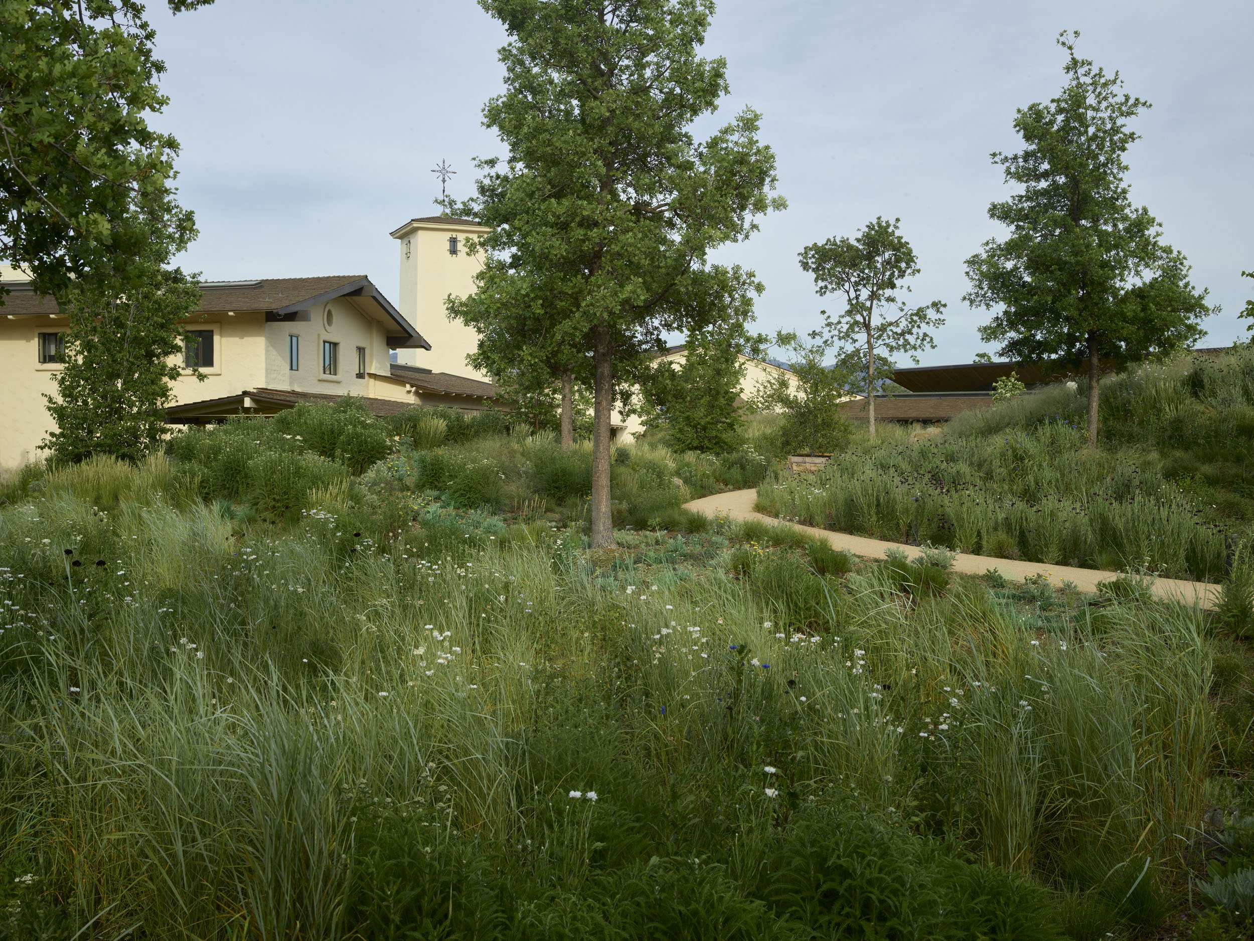 Robert Mondavi Winery — Surfacedesign, Inc.